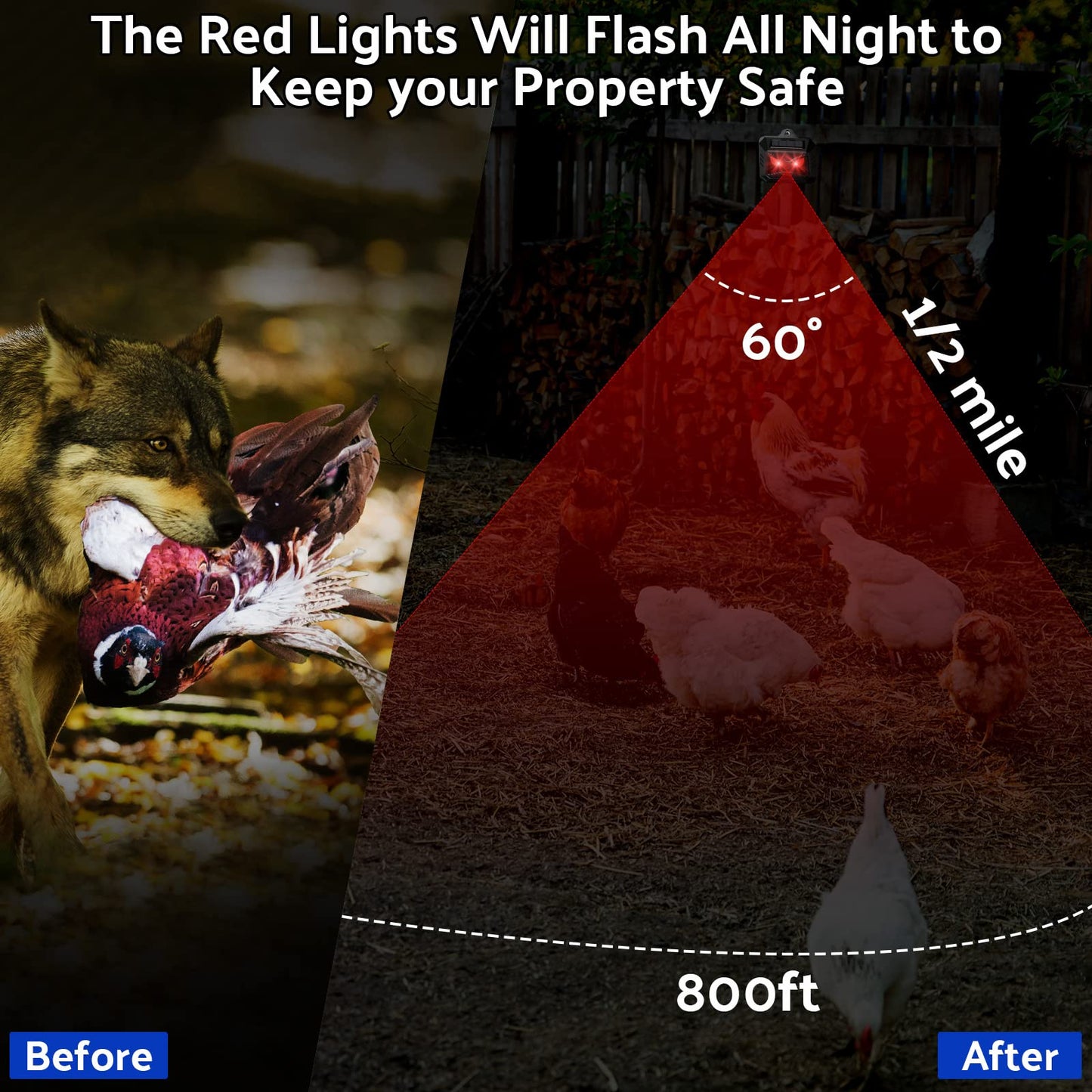 12 Pack Solar Control Light Nocturnal Animal Repeller Outdoor Deterrent Devices Light Sensor Animal Repellent for Skunk Deer Coyote Fox Raccoon Cat Garden Yard Farm Chicken Coop (Black)