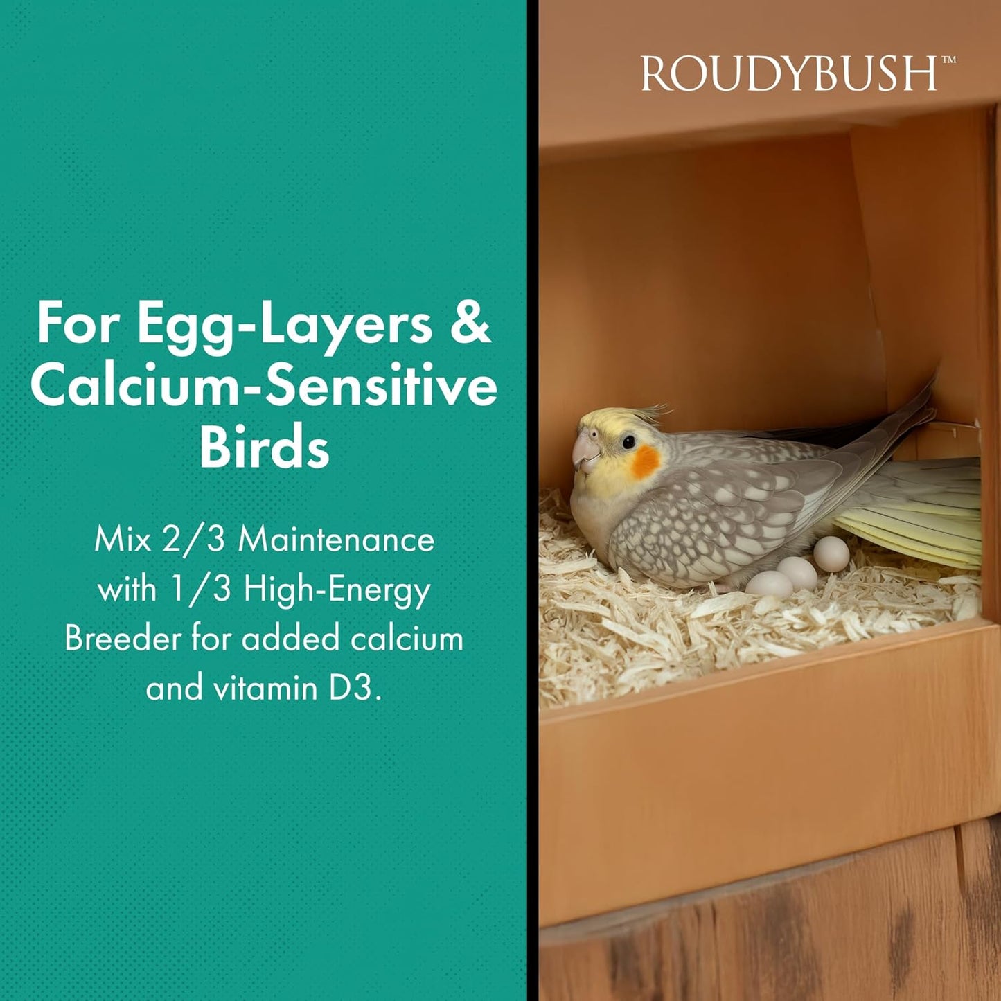 Roudybush Daily Maintenance Bird Food, Mini, 10-Pound