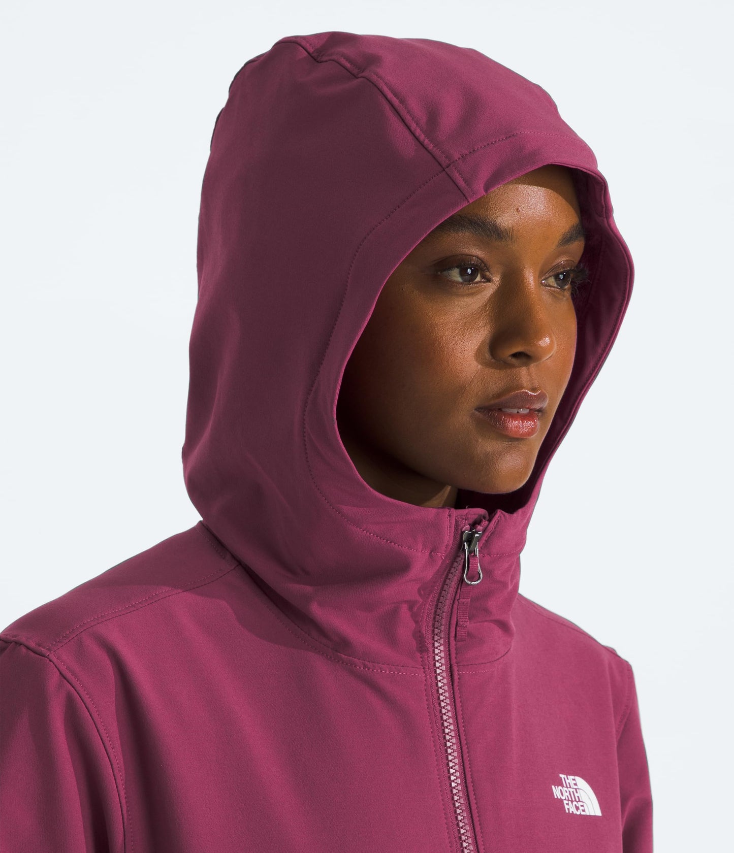THE NORTH FACE Women's Shelbe Raschel Fleece Hooded Jacket (Standard & Plus Size) | Fleece Lining, Wind & Water Resistant