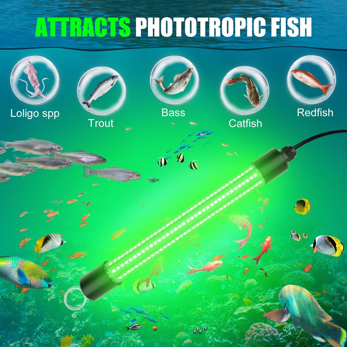Underwater Fishing Light Compatible for Milwaukee 18V Battery,LED Green Light for 30W IP68 3000 Lumens Fish Attracting, Night Fishing for Docks Boats or Kayaks(no Battery)