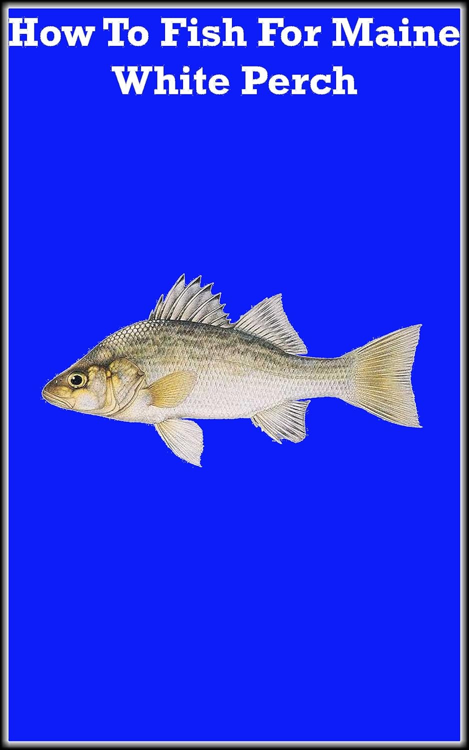 How To Fish For Maine White Perch (Perch Fishing Book 1)