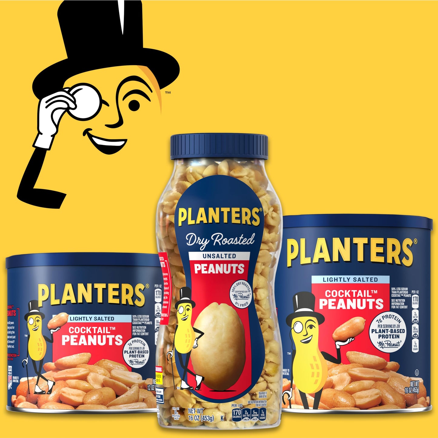 PLANTERS Peanuts, Dry Roasted Peanuts, Lightly Salted Snack Mix, Snacks for Adults - 16 oz. Jars, Pack of 12 PLANTERS Nuts