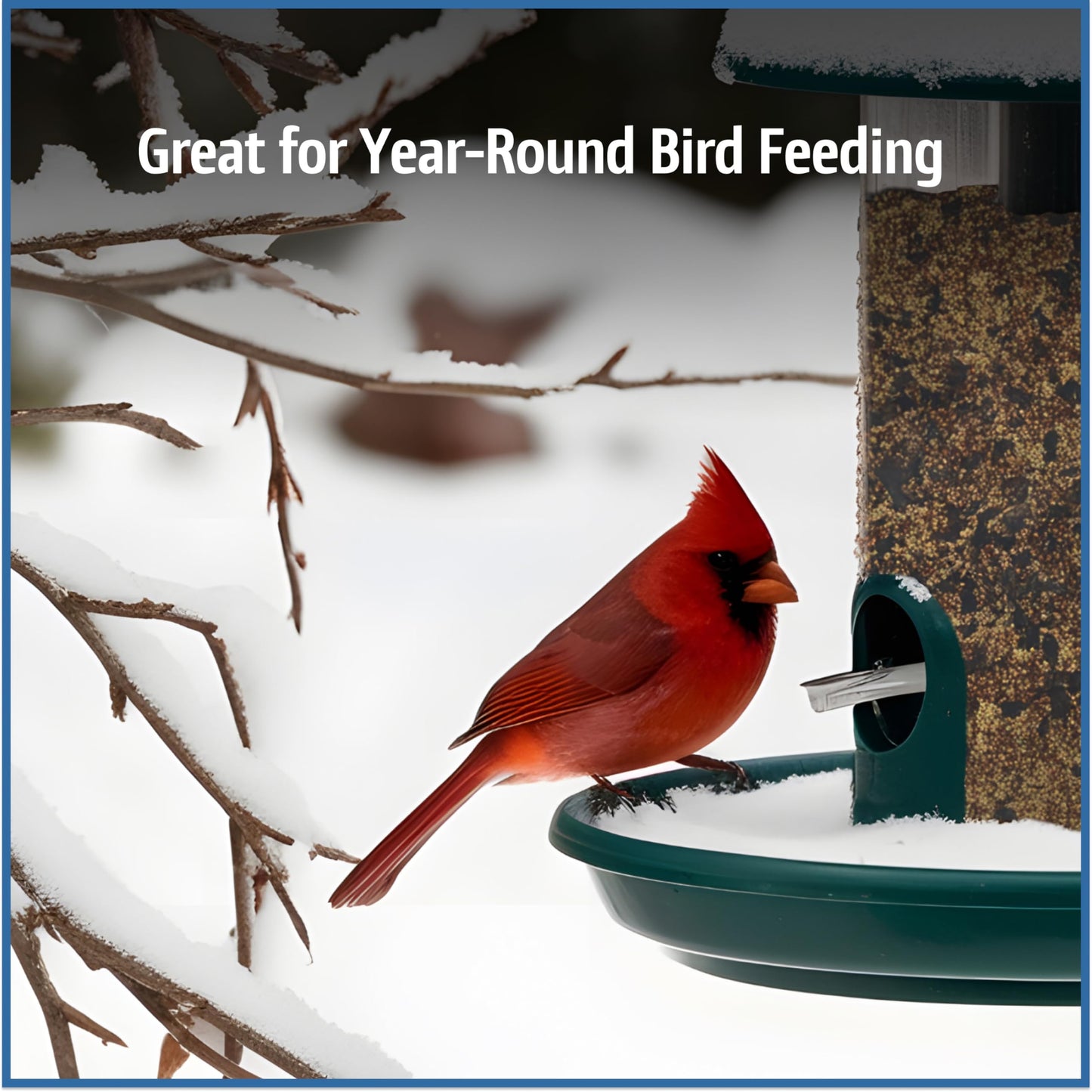 Pennington Pride Songbird Nut & Fruit Blend, Wild Bird Seed for Outside Feeders, Advanced Nutrition Formula for Bird Health, 10-lb. Bag
