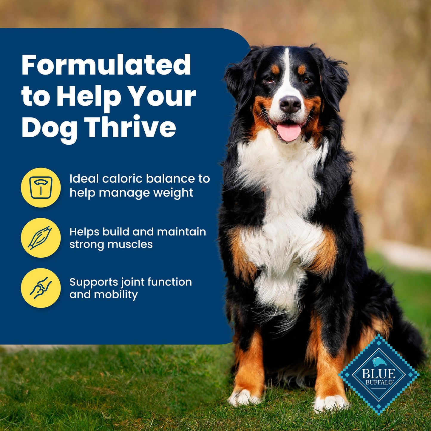 Blue Buffalo Life Protection Formula Adult Dry Dog Food, Helps Build and Maintain Strong Muscles, Made with Natural Ingredients, Chicken & Brown Rice Recipe, 15-lb. Bag