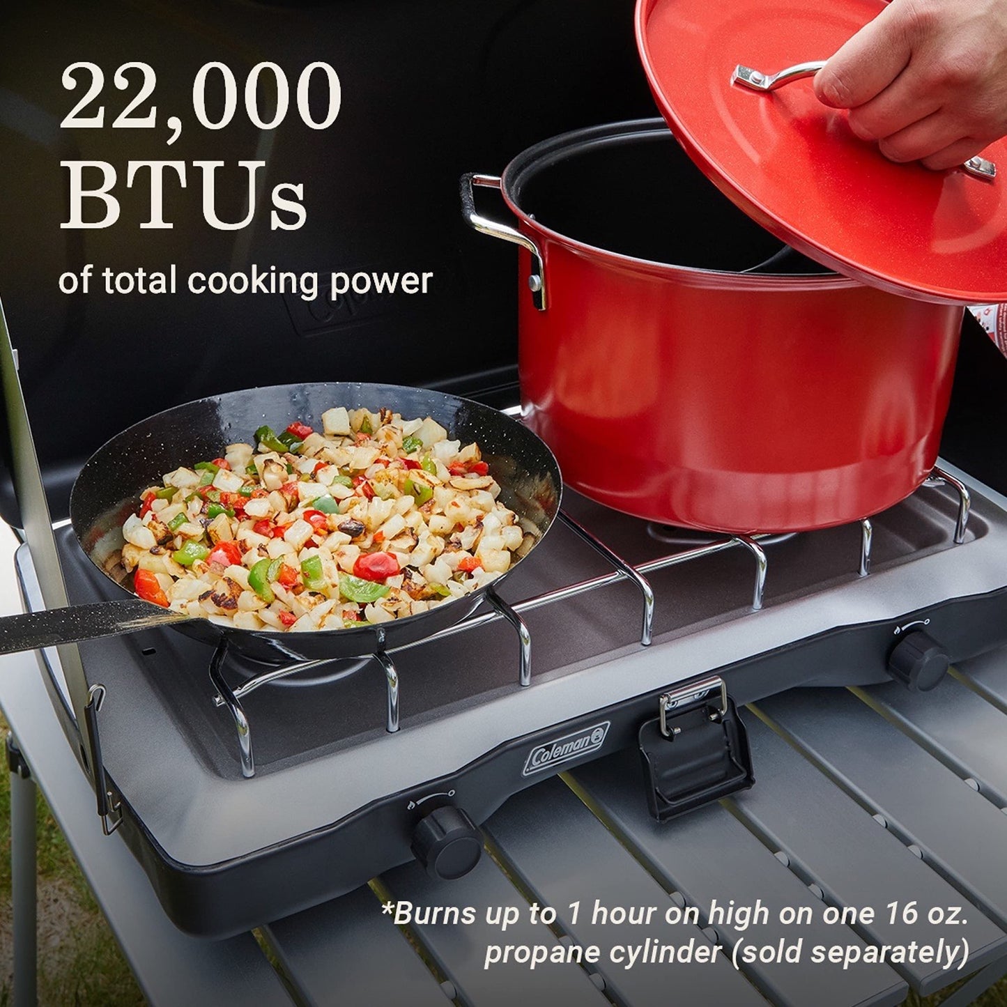 Coleman Triton 2-Burner Propane Camping Stove, Portable Camping Grill/Stove with Adjustable Burners, Wind Guards, Heavy-Duty Latch & Handle, 22,000 Total BTUs of Power for Camping, Tailgating, BBQ