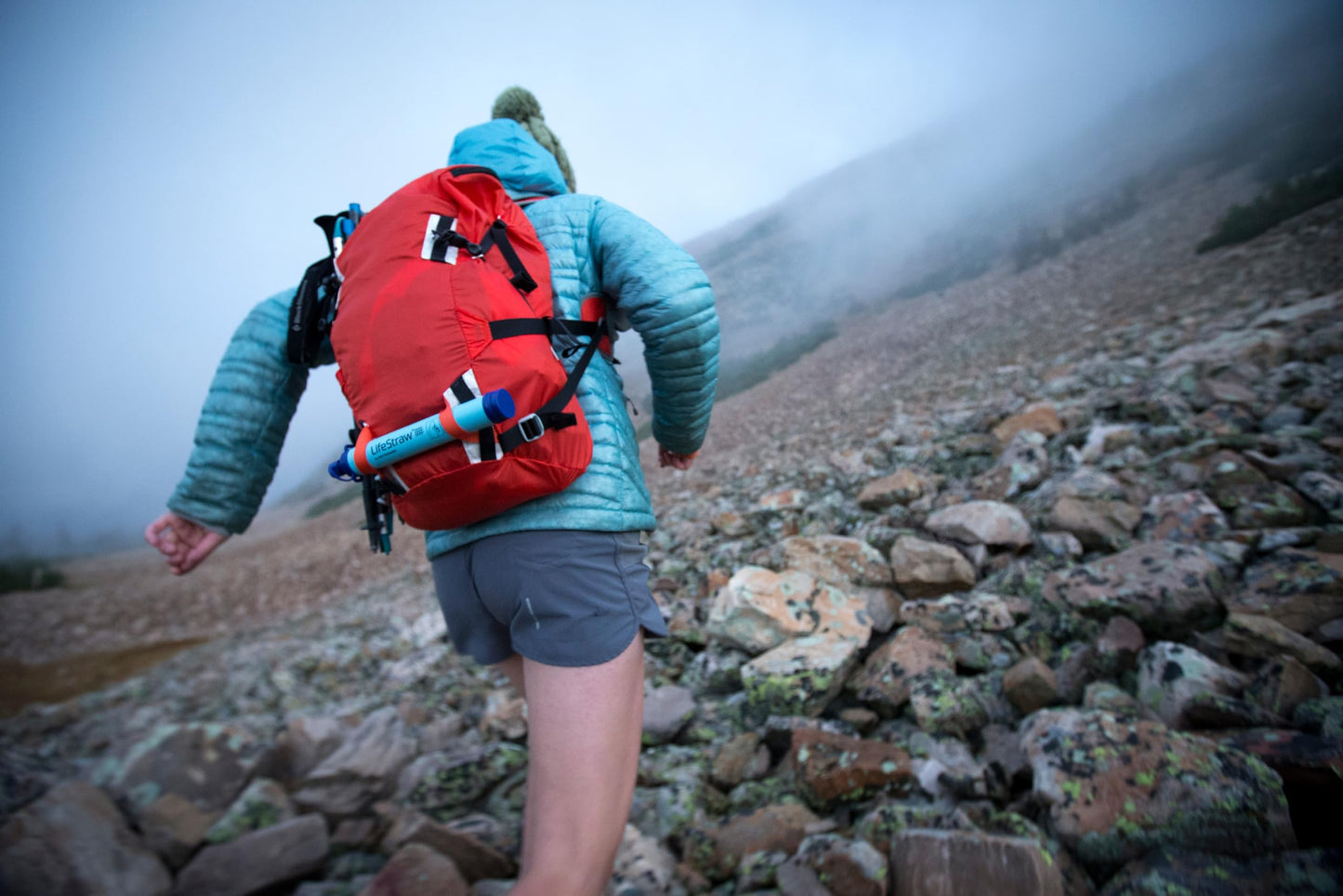 LifeStraw Personal Water Filter for Hiking, Camping, Travel, and Emergency Preparedness