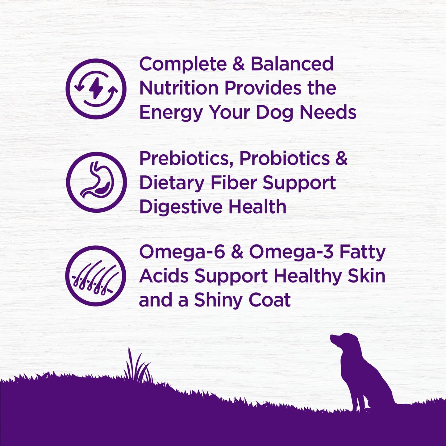 Wellness Complete Health Dry Dog Food, Wholesome Grains, Natural, Lamb & Barley Recipe, (30-Pound Bag)