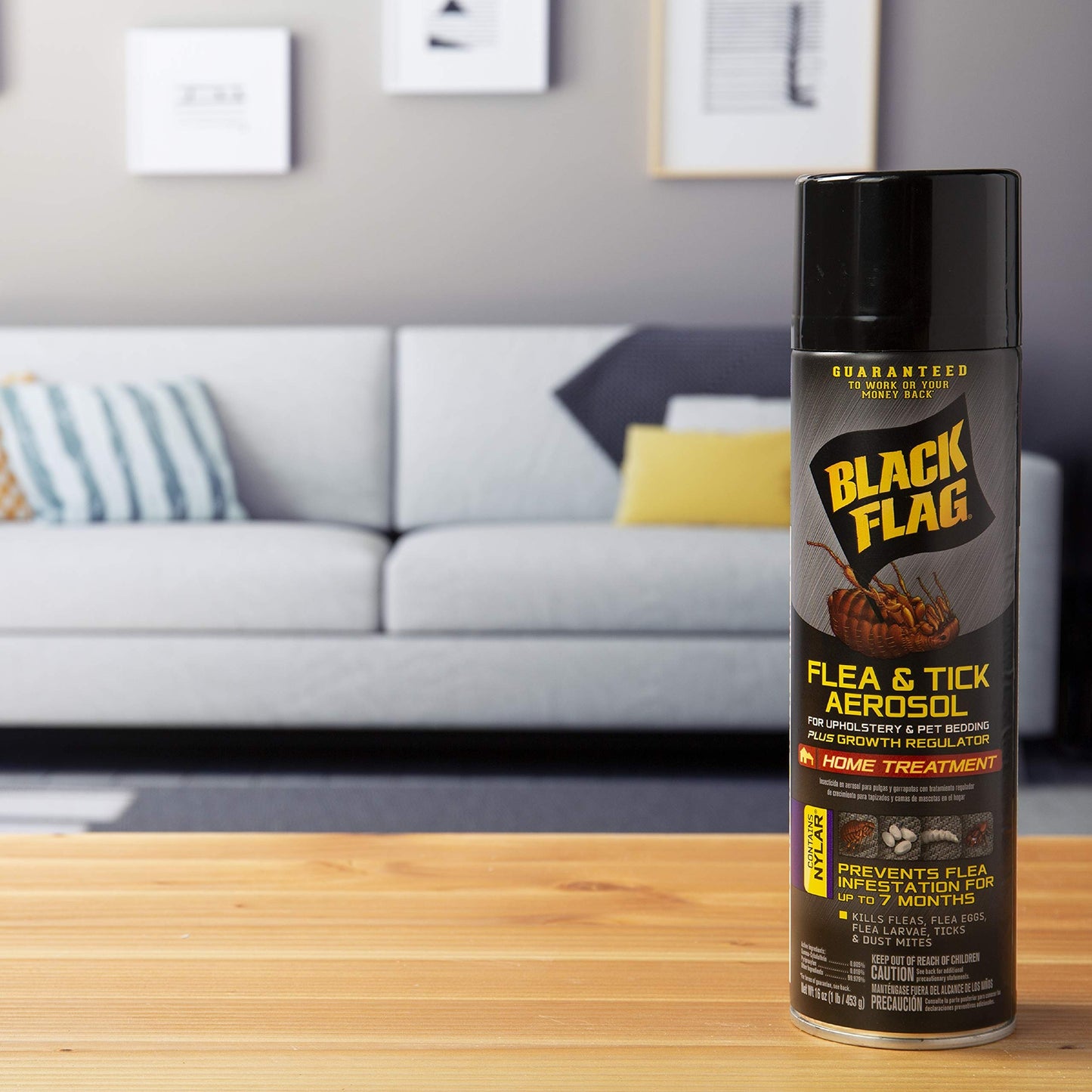 Black Flag Extreme Flea Killer Plus Growth Regulator RTU for Insects, 1-gal, 128 Oz