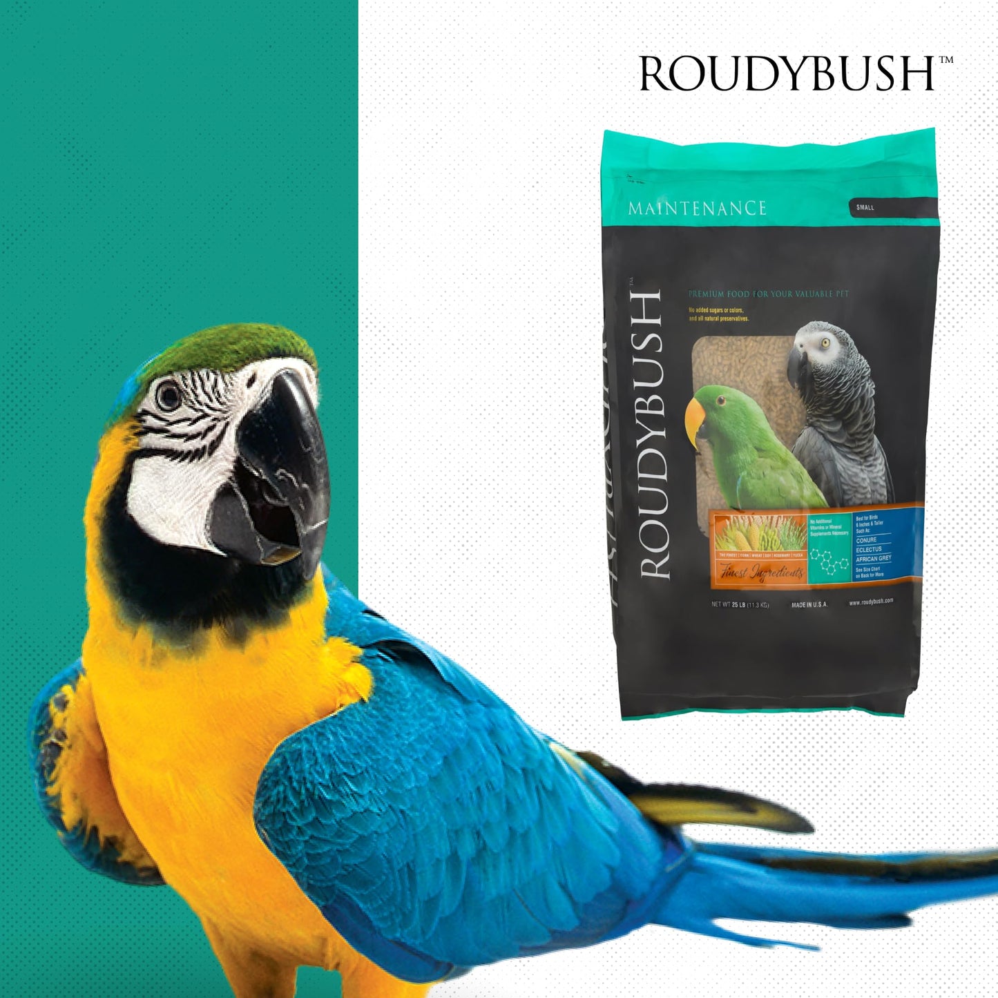 Roudybush Daily Maintenance Bird Food, Mini, 44-Ounce