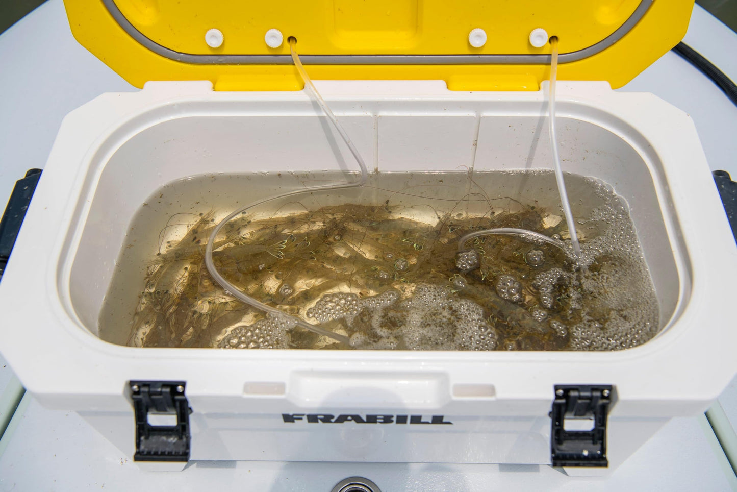 Frabill Magnum Bait Station 13 Quart Live Bait Well, White and Yellow