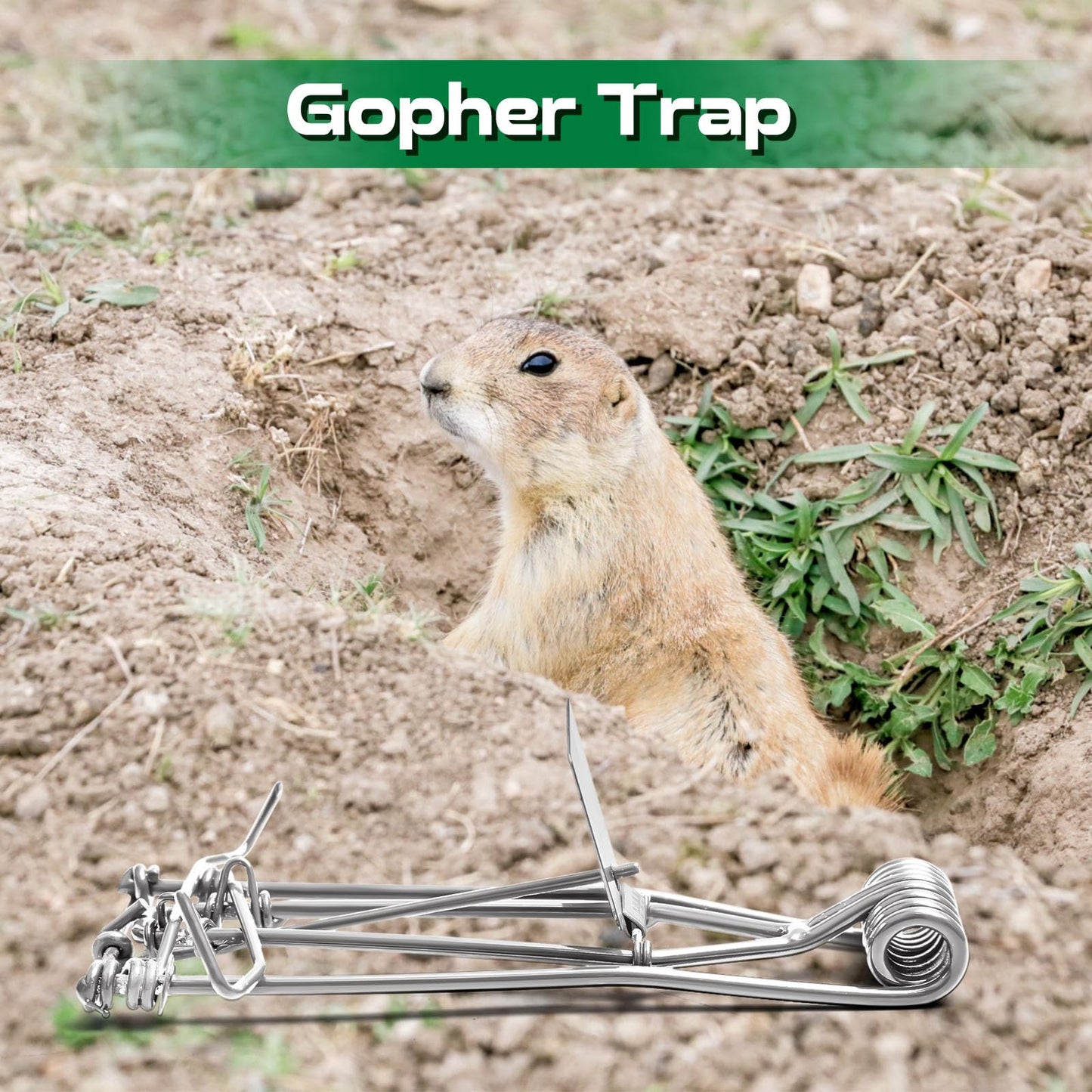 Qualirey 2 Pcs Outdoor Gopher Trap Easy Set Mole Trap Weather Resistant Gopher Killer Vole Killer for Lawn Garden Farm (Black)