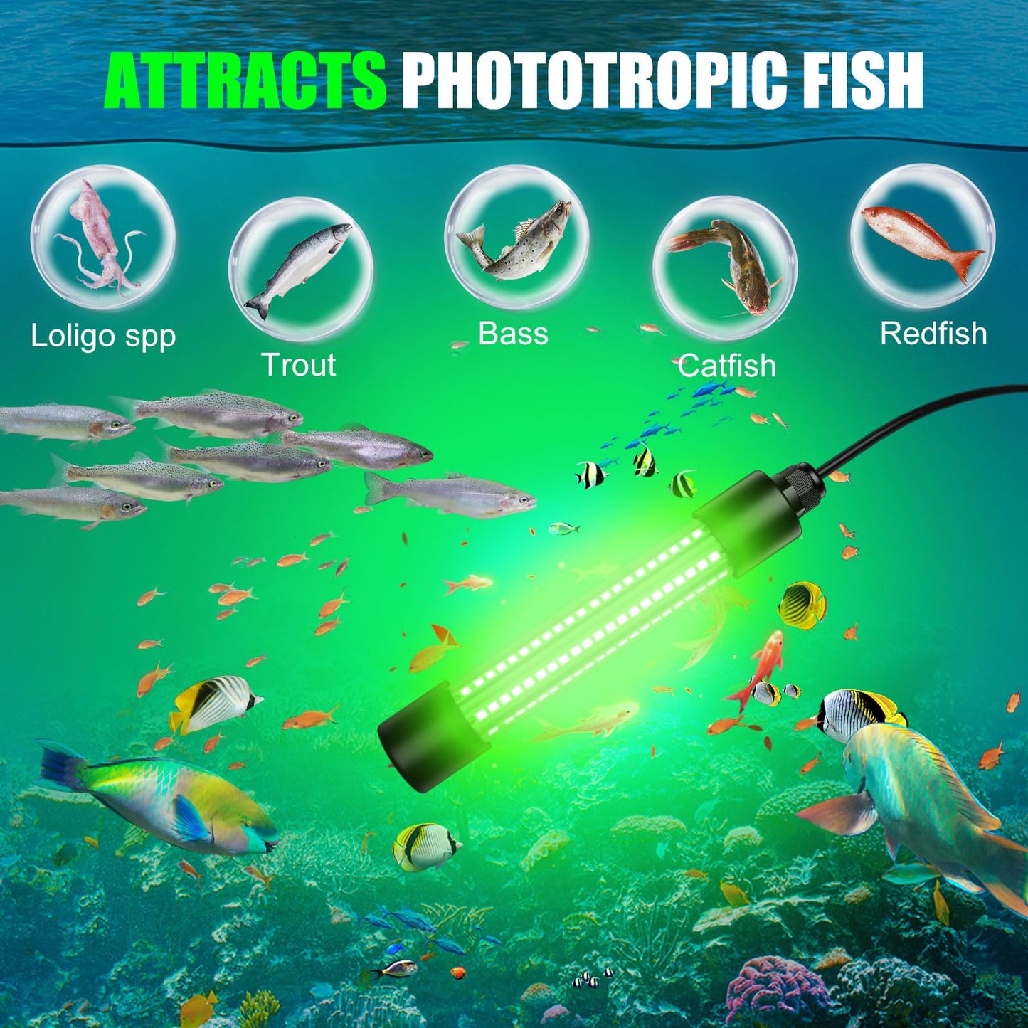 Underwater Fishing Light Compatible for Milwaukee 18V Battery,LED Green Light for 30W IP68 3000 Lumens Fish Attracting, Night Fishing for Docks Boats or Kayaks(no Battery)