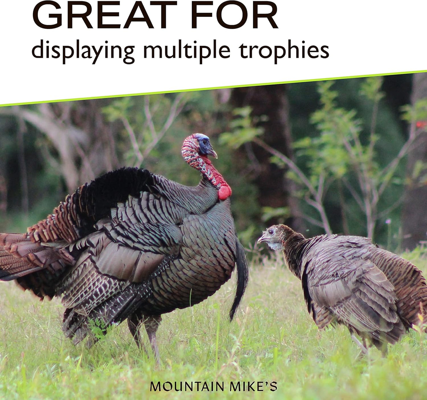 Mountain Mike's Reproductions Beard Master Turkey Mounting Kit