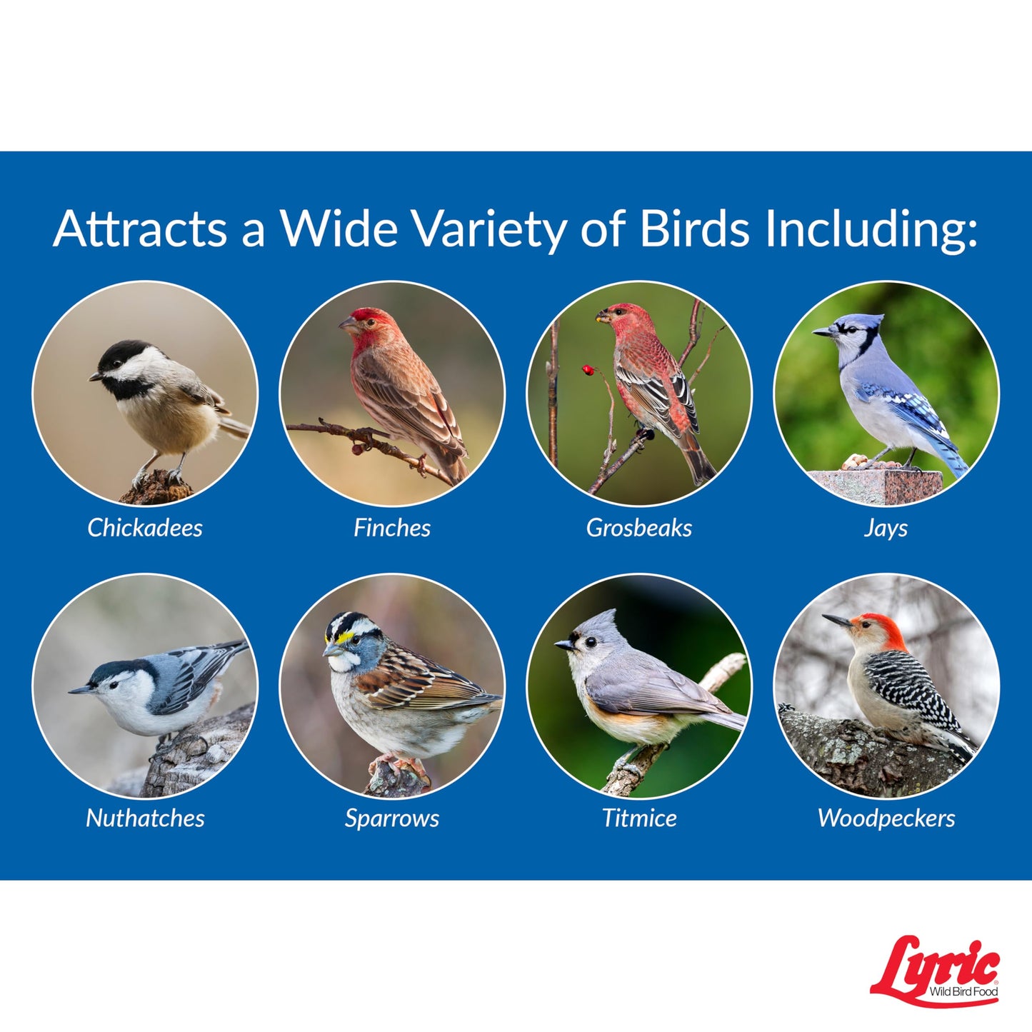 Lyric Wild Bird Mix - Wild Bird Food for Outside Feeders - Attracts Doves, Jays and many more - 40 lb. Bag