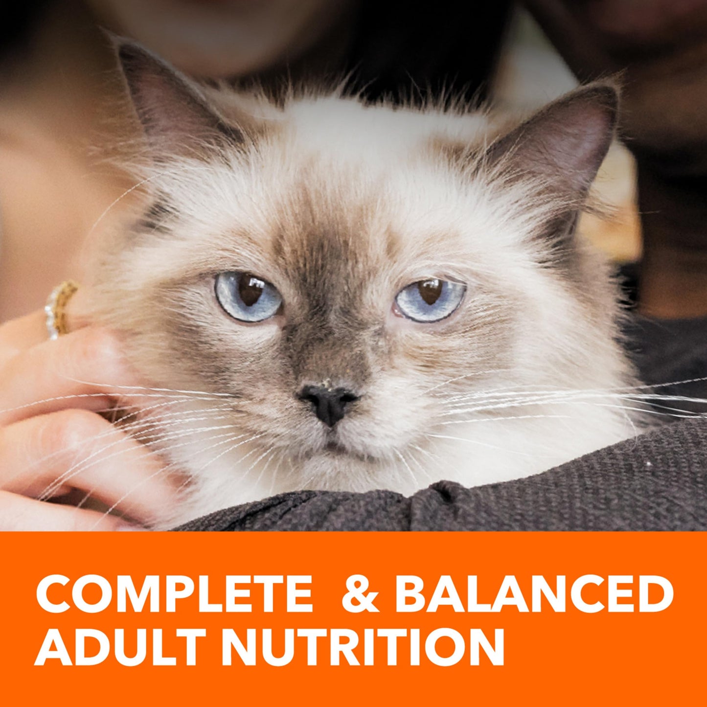 IAMS Proactive Health Indoor Weight Control & Hairball Care Adult Dry Cat Food, Chicken & Turkey Recipe, 22 lb. Bag