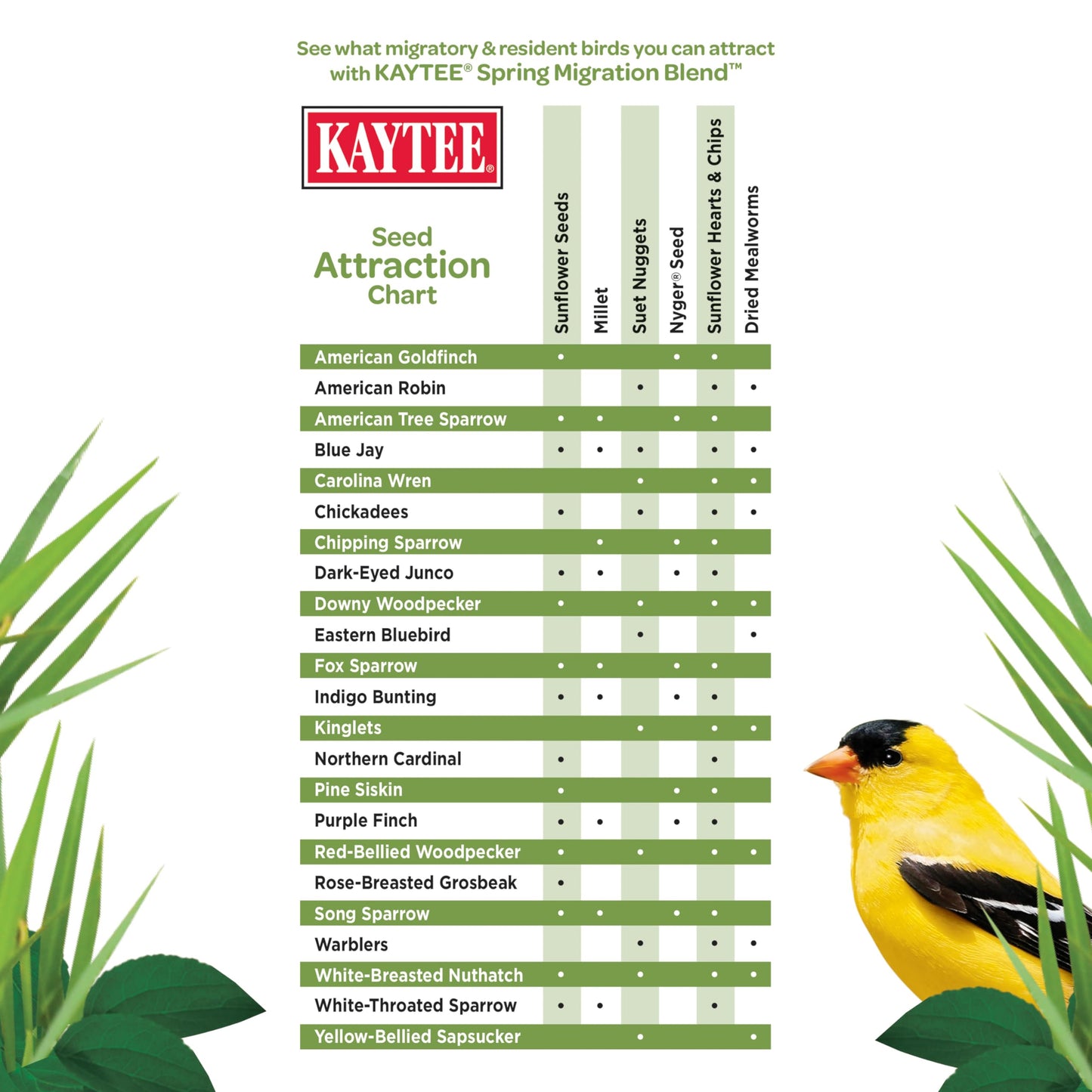 Kaytee Wild Bird Food, Summer Nesting Seed Blend, 8 lb