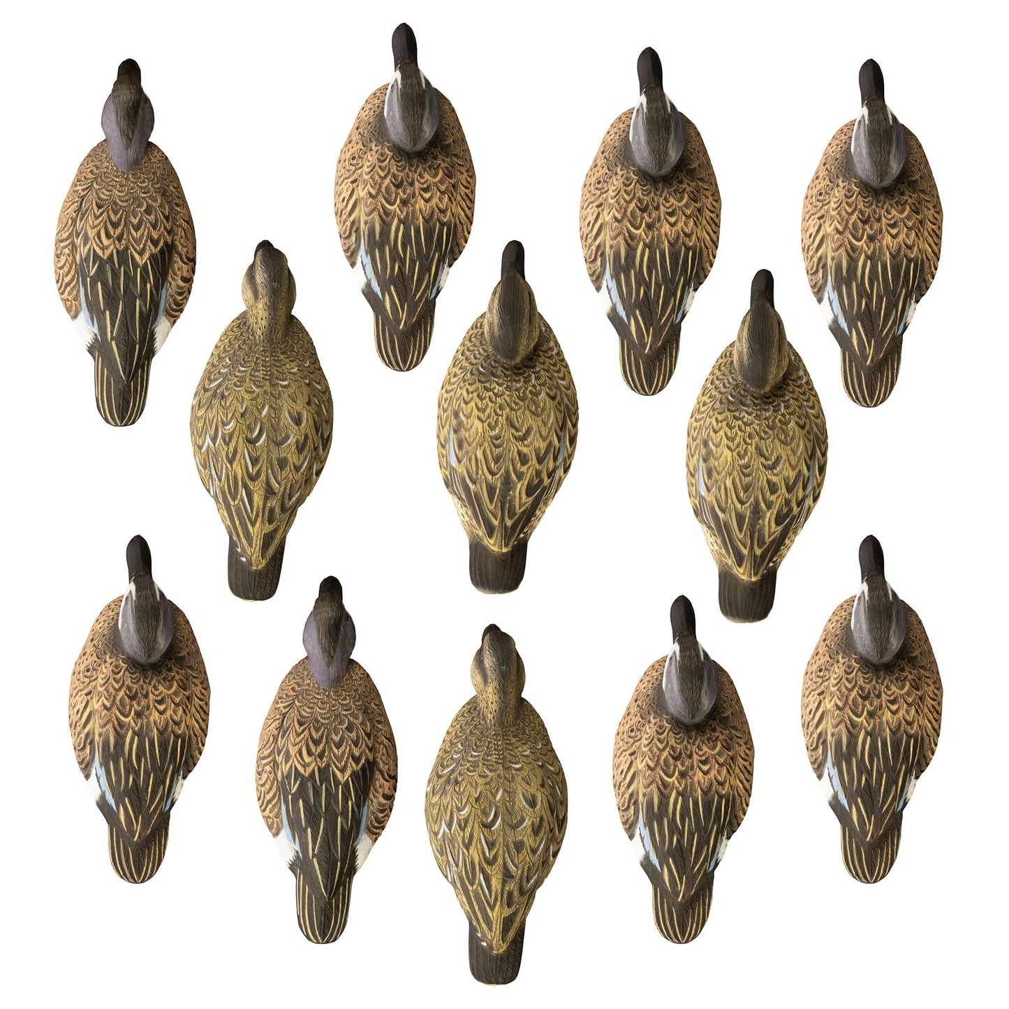 Higdon Outdoors | Standard Blue Wing Teal Duck Decoys, Foam-Filled