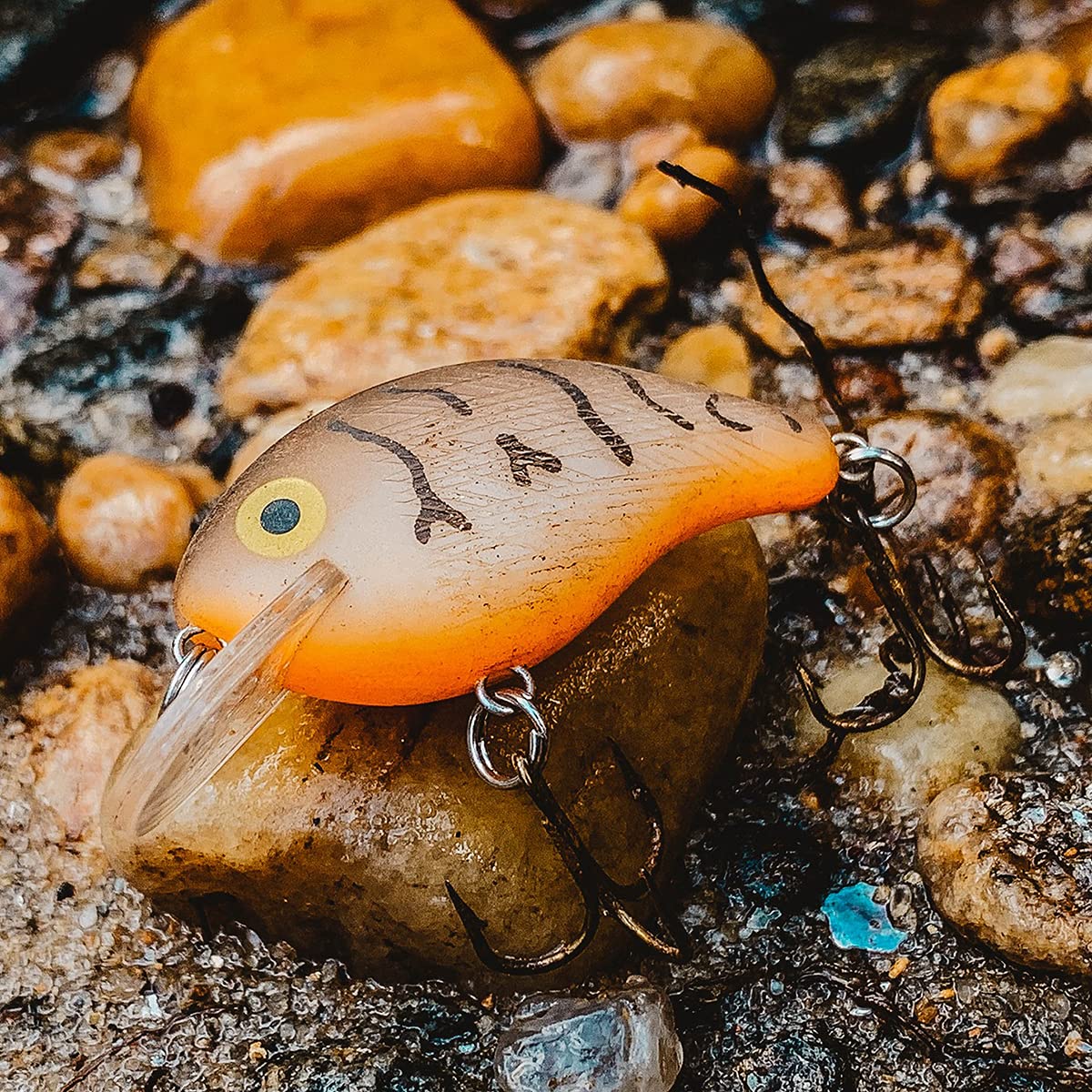 Rebel Lures Pop-R Topwater Popper Fishing Lure