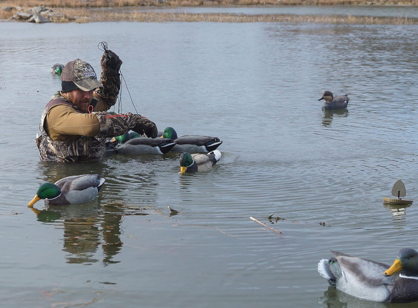 MOJO Outdoors Texas-Style Decoy Rig for Duck Hunting Decoys, 6 oz (48" Length)