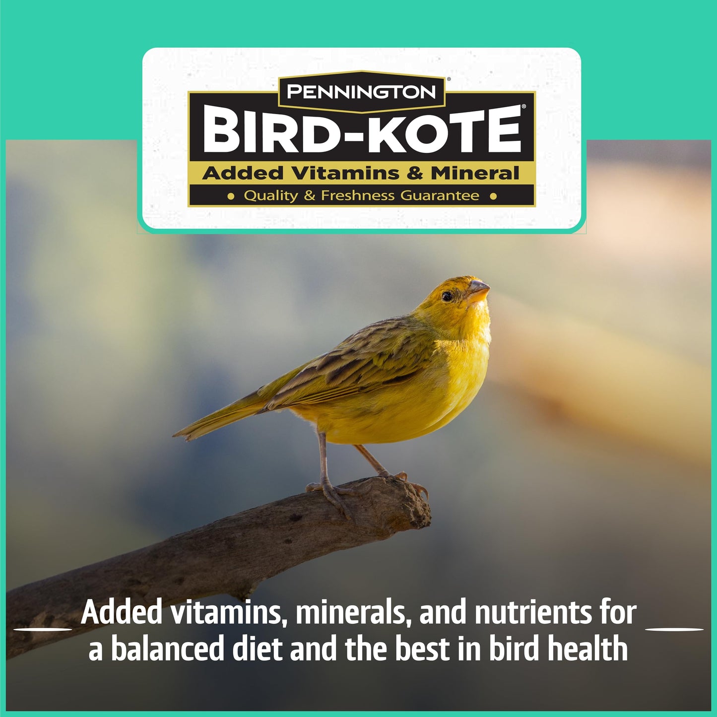 Pennington Pride Songbird Nut & Fruit Blend, Wild Bird Seed for Outside Feeders, Advanced Nutrition Formula for Bird Health, 10-lb. Bag