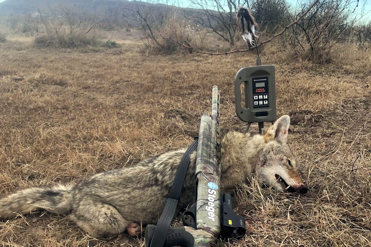 MOJO Triple Threat Predator Decoy & E-Caller – Complete Hunting System with 80 Sounds, Remote Control, Critter Decoy, Rechargeable Battery Compatible, and Durable Design