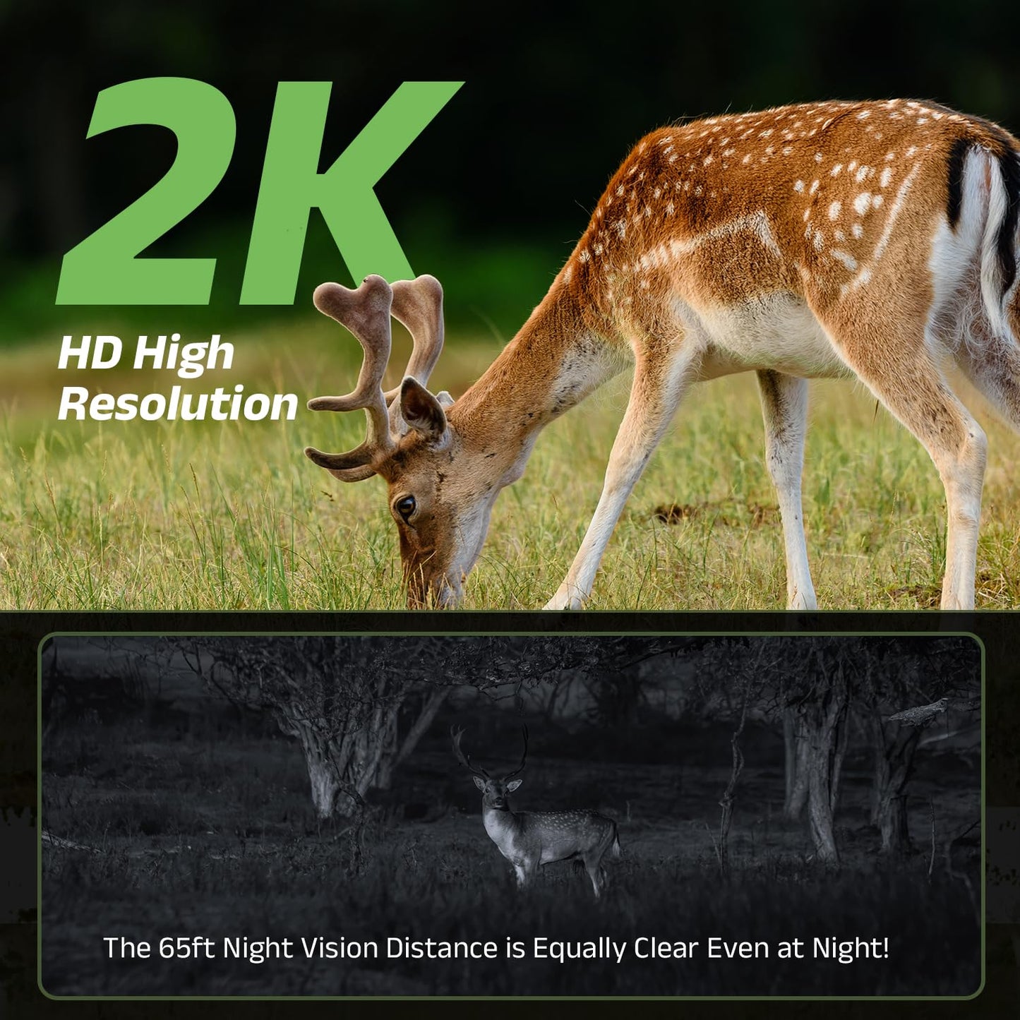 4G LTE Cellular Trail Cameras 2 Pack, Unlimited Data Plan, 360°Full View Live Video, 2K HD Game Camera with Solar Power, Security Camera Built-in SIM Card with PIR Night Vision, IP65 Waterproof