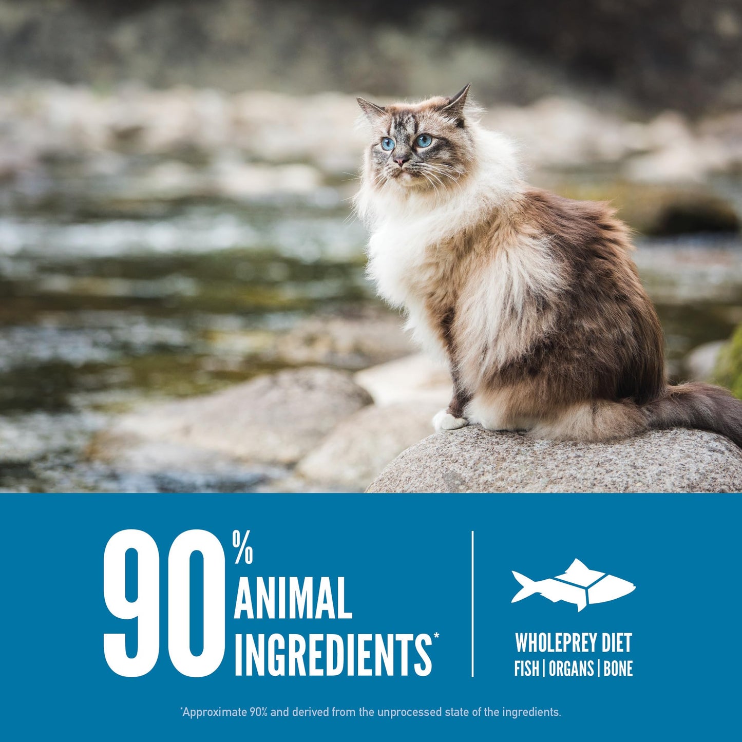 ORIJEN Grain Free High Protein Premium Dry Cat Food Original Recipe, 4lb Bag