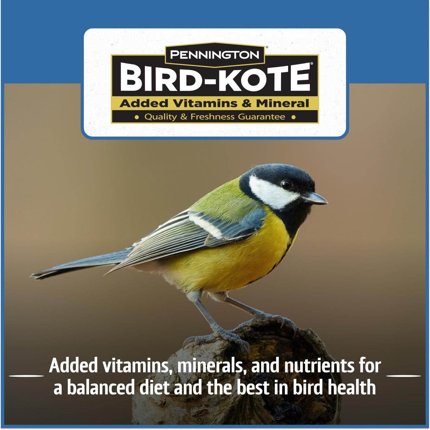 Pennington Pride Songbird Nut & Fruit Blend, Wild Bird Seed for Outside Feeders, Advanced Nutrition Formula for Bird Health, 10-lb. Bag