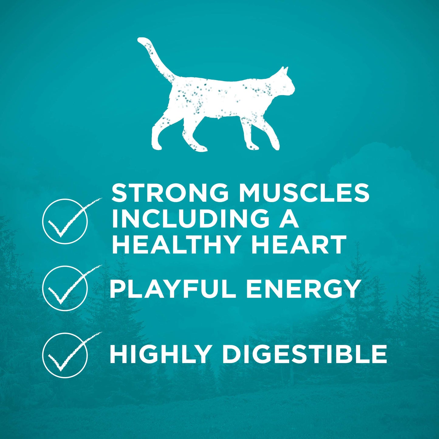 Purina ONE True Instinct With A Blend Of Real Turkey and Venison Dry Dog Food - 36 lb. Bag