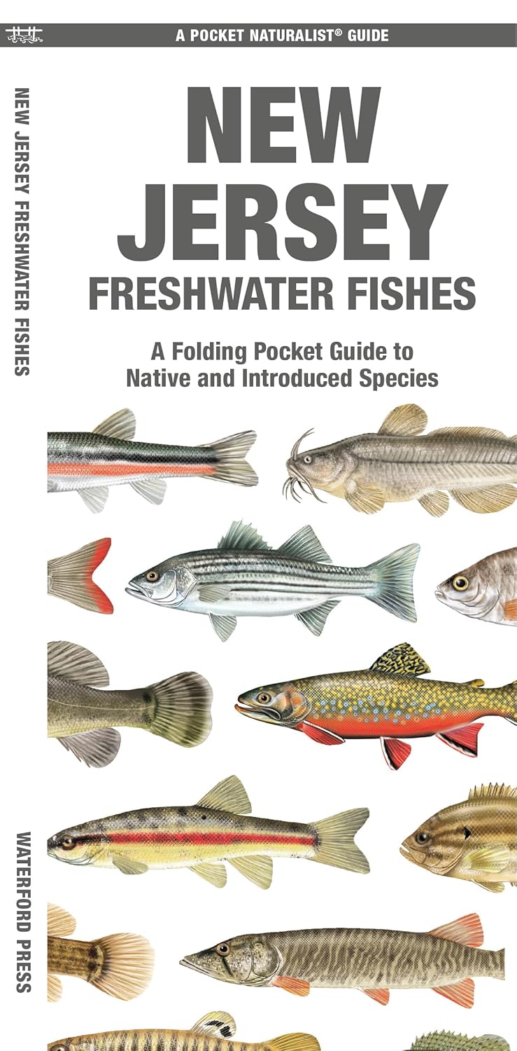 New Jersey Freshwater Fishes: A Waterproof Folding Guide to Native and Introduced Species (Nature Observation North America)