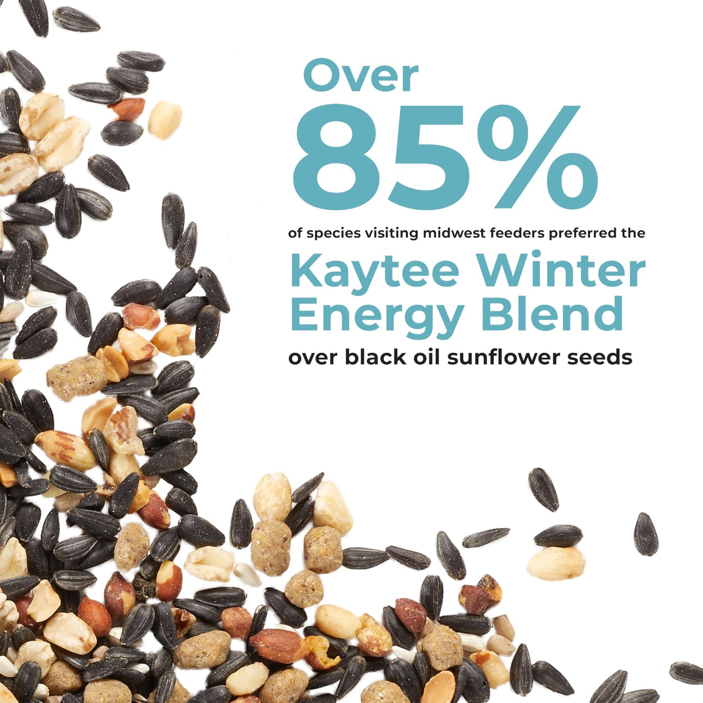 Kaytee Wild Bird Food, Summer Nesting Seed Blend, 8 lb