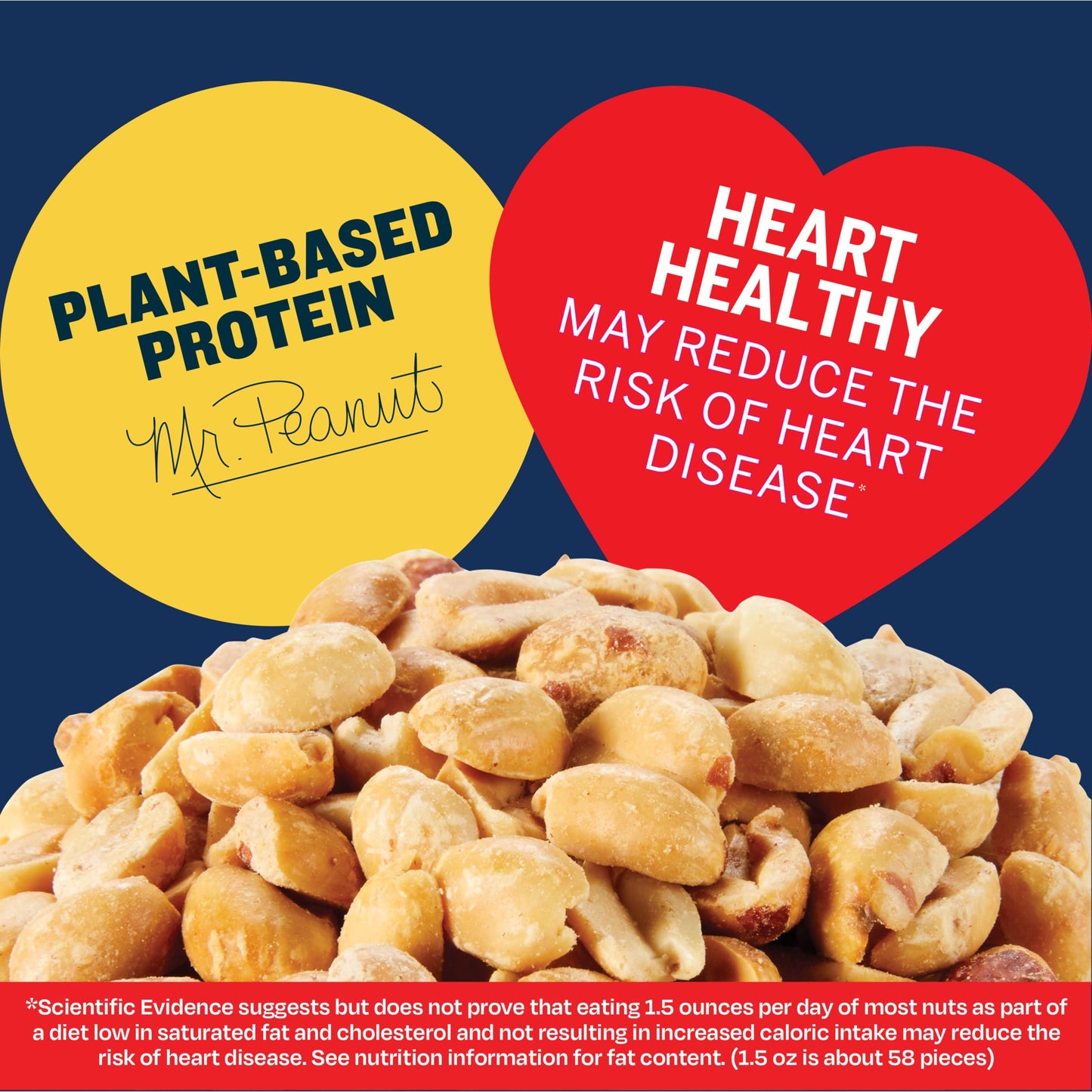 PLANTERS Peanuts, Dry Roasted Peanuts, Lightly Salted Snack Mix, Snacks for Adults - 16 oz. Jars, Pack of 12 PLANTERS Nuts