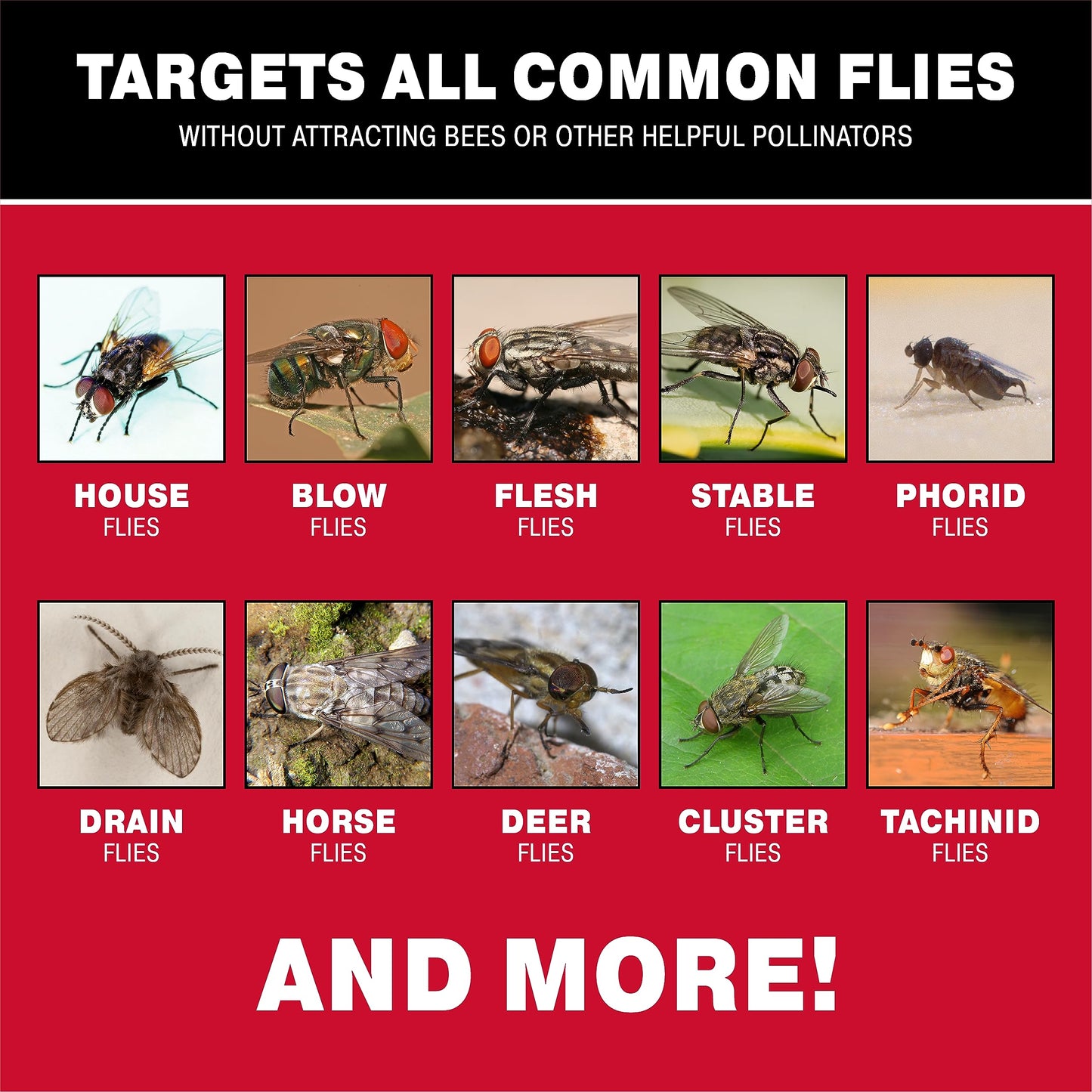 Catchmaster Reusable Fly Traps Outdoor Jar 6-Pack, Bug Catcher and Flying Insect Trap with Food-Based Lure for Pest Control, Pet Safe, Non Toxic Bulk Fly Traps