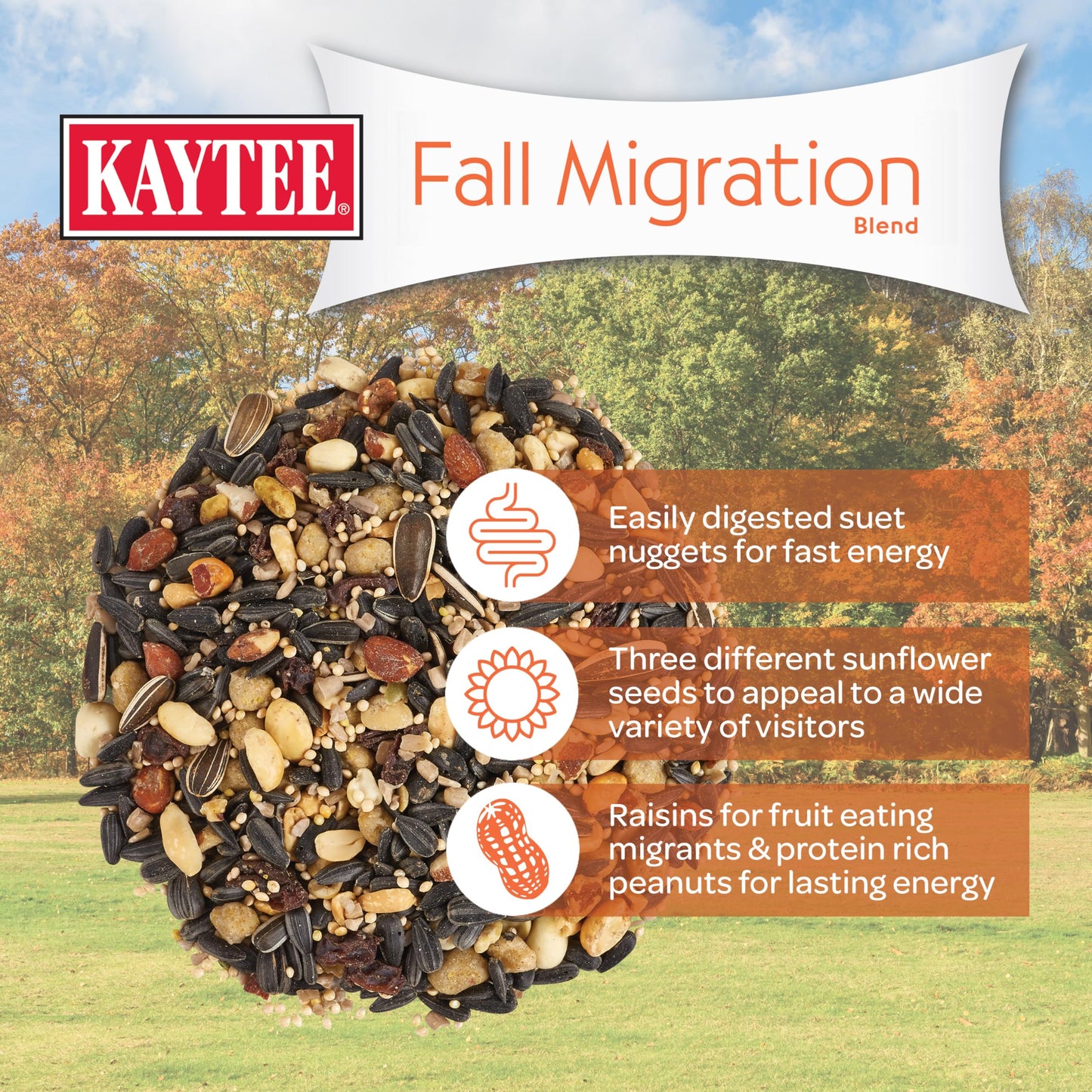 Kaytee Wild Bird Food, Summer Nesting Seed Blend, 8 lb