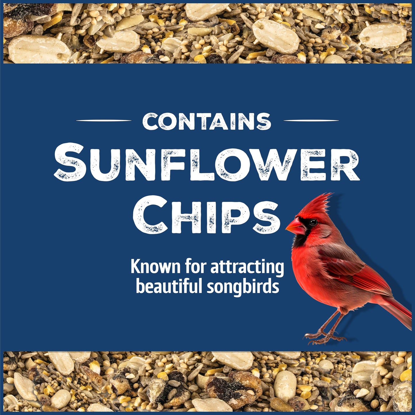 Pennington Pride Songbird Nut & Fruit Blend, Wild Bird Seed for Outside Feeders, Advanced Nutrition Formula for Bird Health, 10-lb. Bag