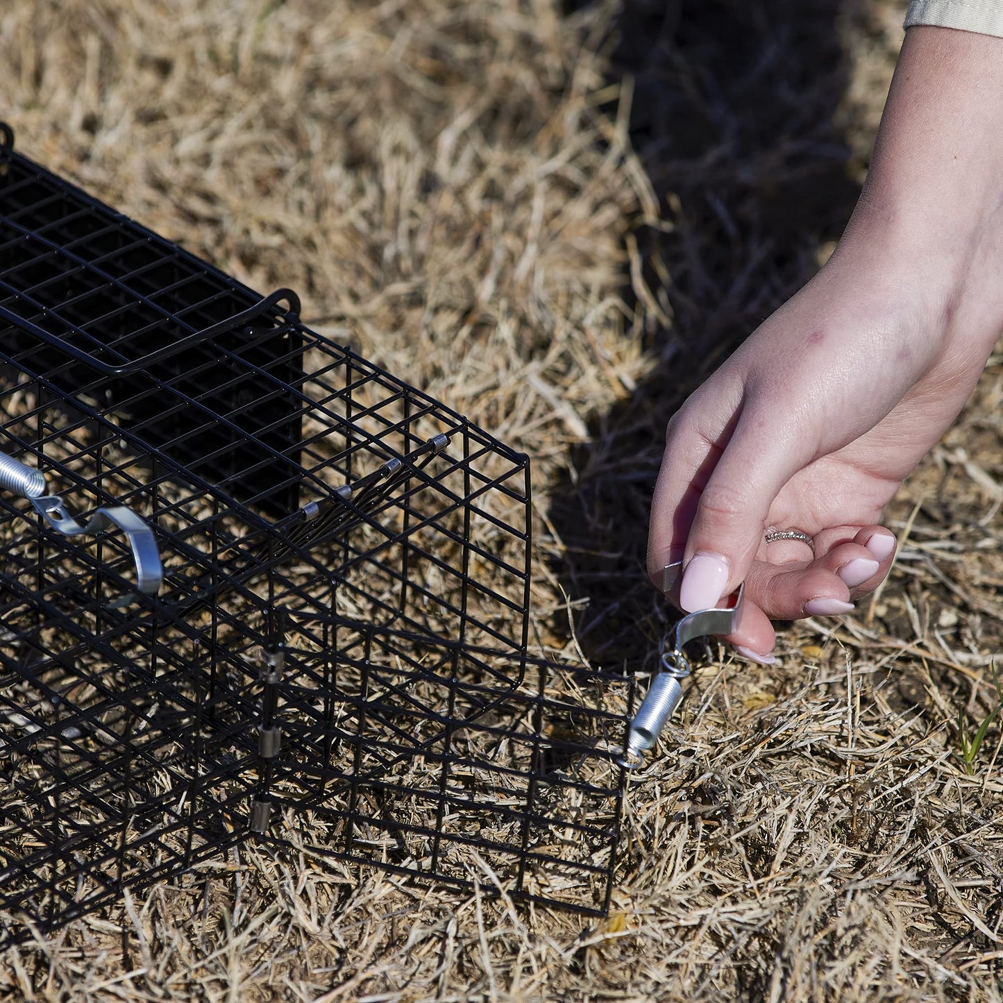 Rugged Ranch Live Chipmunk Trap, Catch & Release Cage, Large, Chipmunkinator