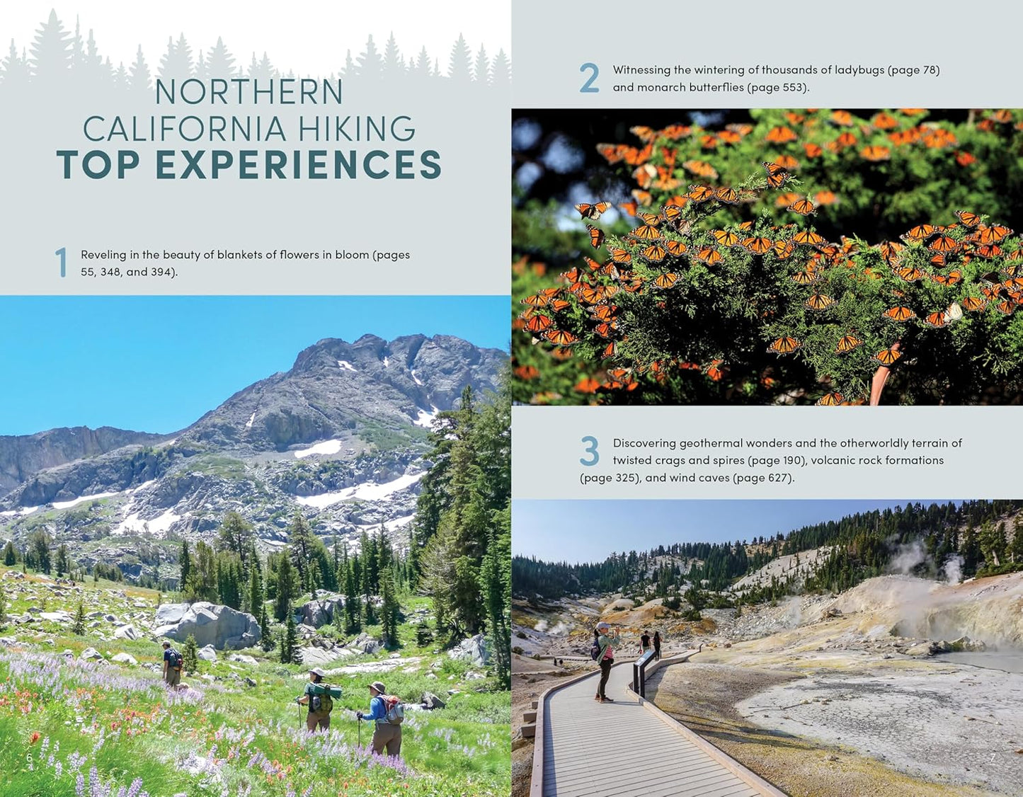 Moon Northern California Hiking: Best Hikes Plus Beer, Bites, and Campgrounds Nearby (Moon Hiking Travel Guide)