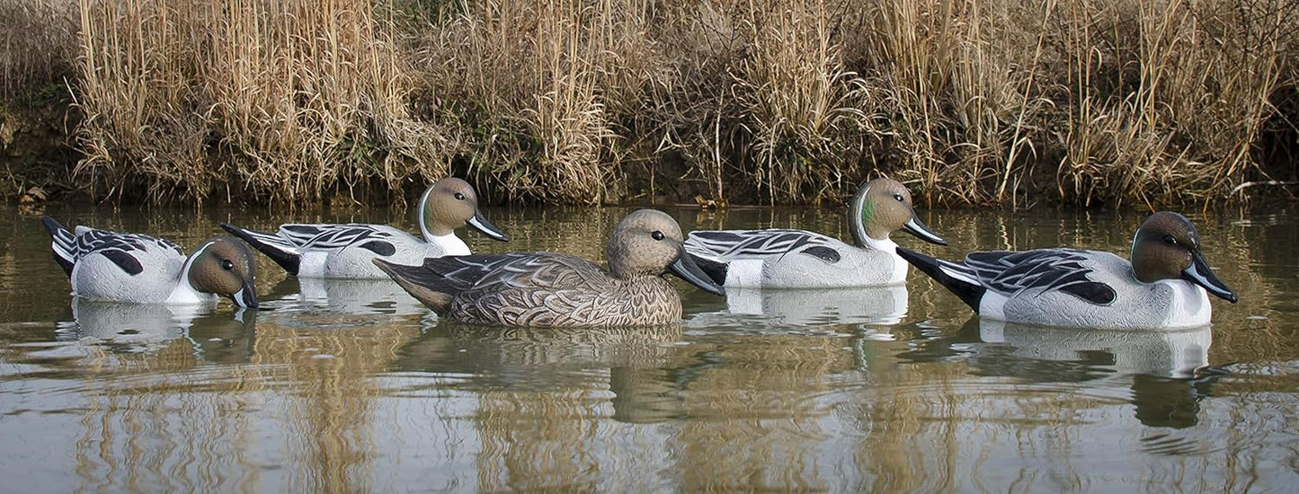 Higdon Outdoors Standard Pintail Duck Decoys, Foam-Filled