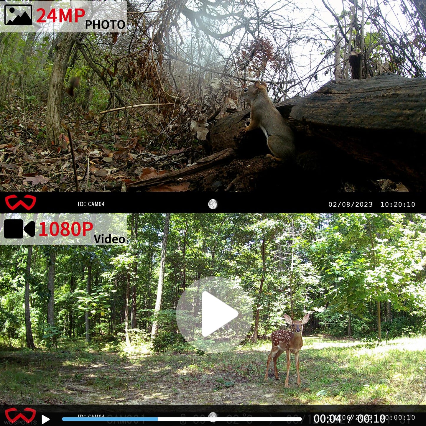 WOSODA Mini Trail Camera 4 Pack 24MP 1080P HD, Game Cam with SD Card, Waterproof Tiny Deer Camera Night Vision Motion Activated with Fast Trigger Time for Outdoor Wildlife Monitoring