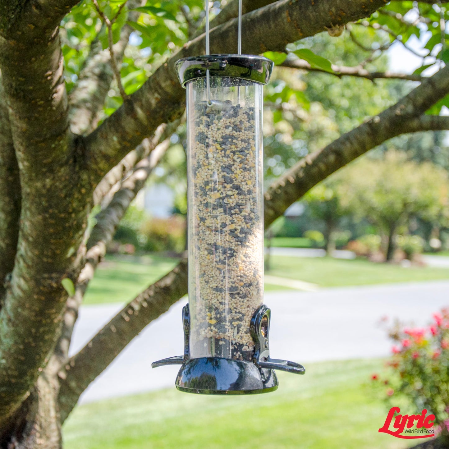 Lyric Wild Bird Mix - Wild Bird Food for Outside Feeders - Attracts Doves, Jays and many more - 40 lb. Bag