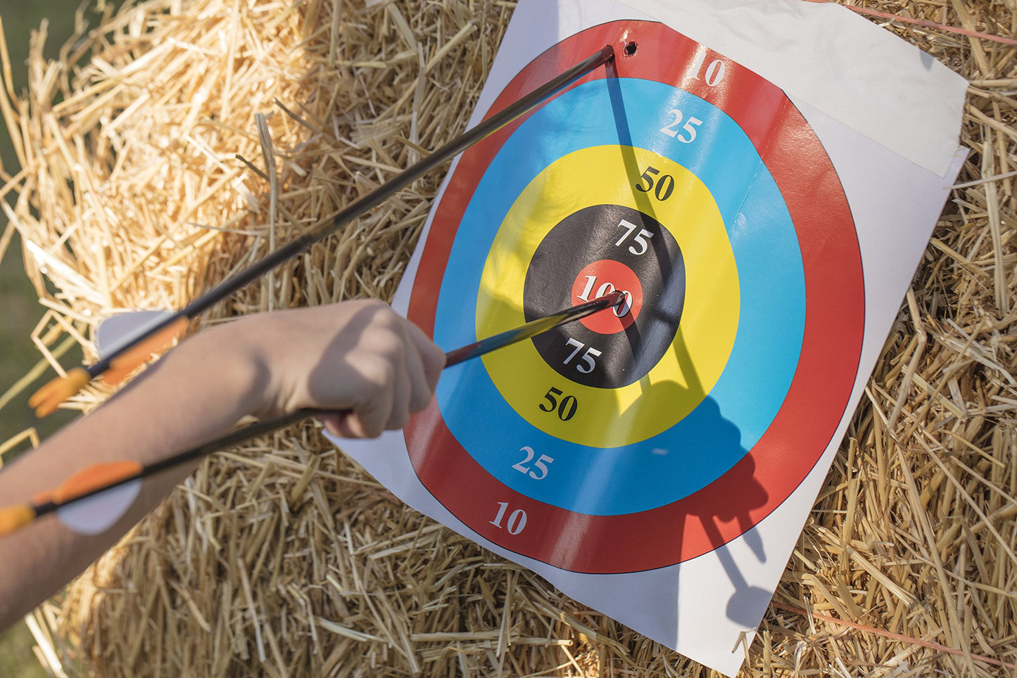 Bear Archery Youth Safety Glass Arrows, Durable & Splinter-Free Fiberglass Arrows, Nocks and Points Included, Pre-Fletched with Vanes, America's No. 1 Youth Archery Brand