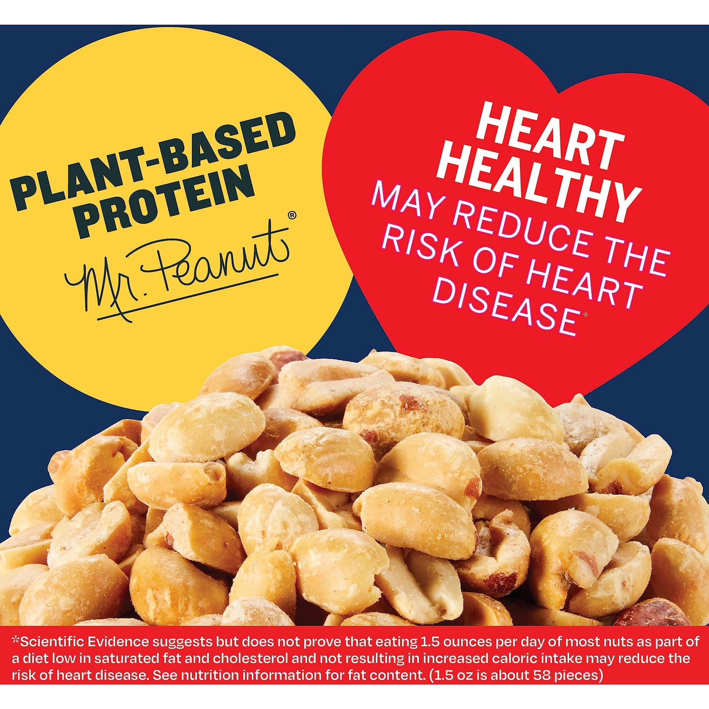 PLANTERS Peanuts, Dry Roasted Peanuts, Lightly Salted Snack Mix, Snacks for Adults - 16 oz. Jars, Pack of 12 PLANTERS Nuts