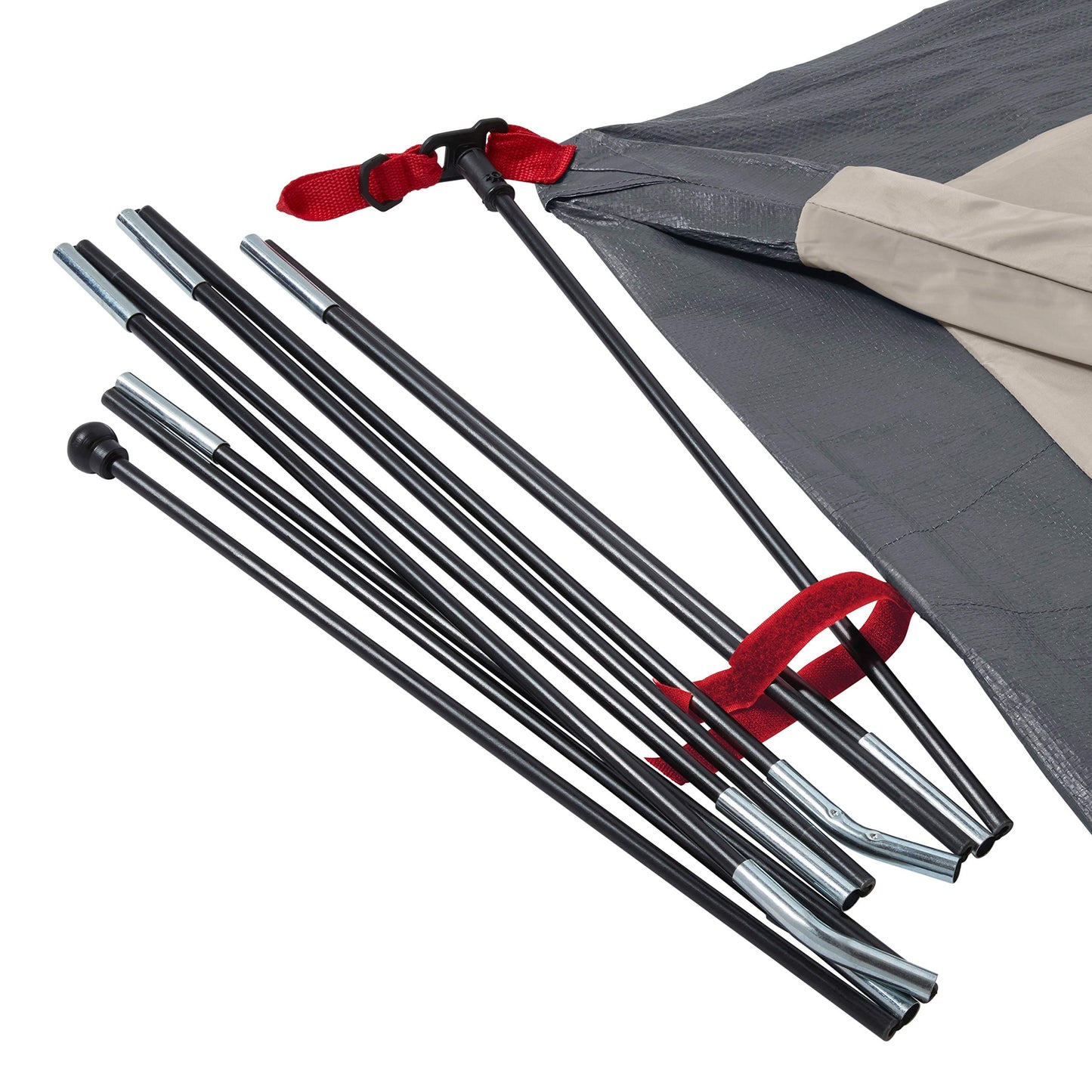 Pop Up Canopy