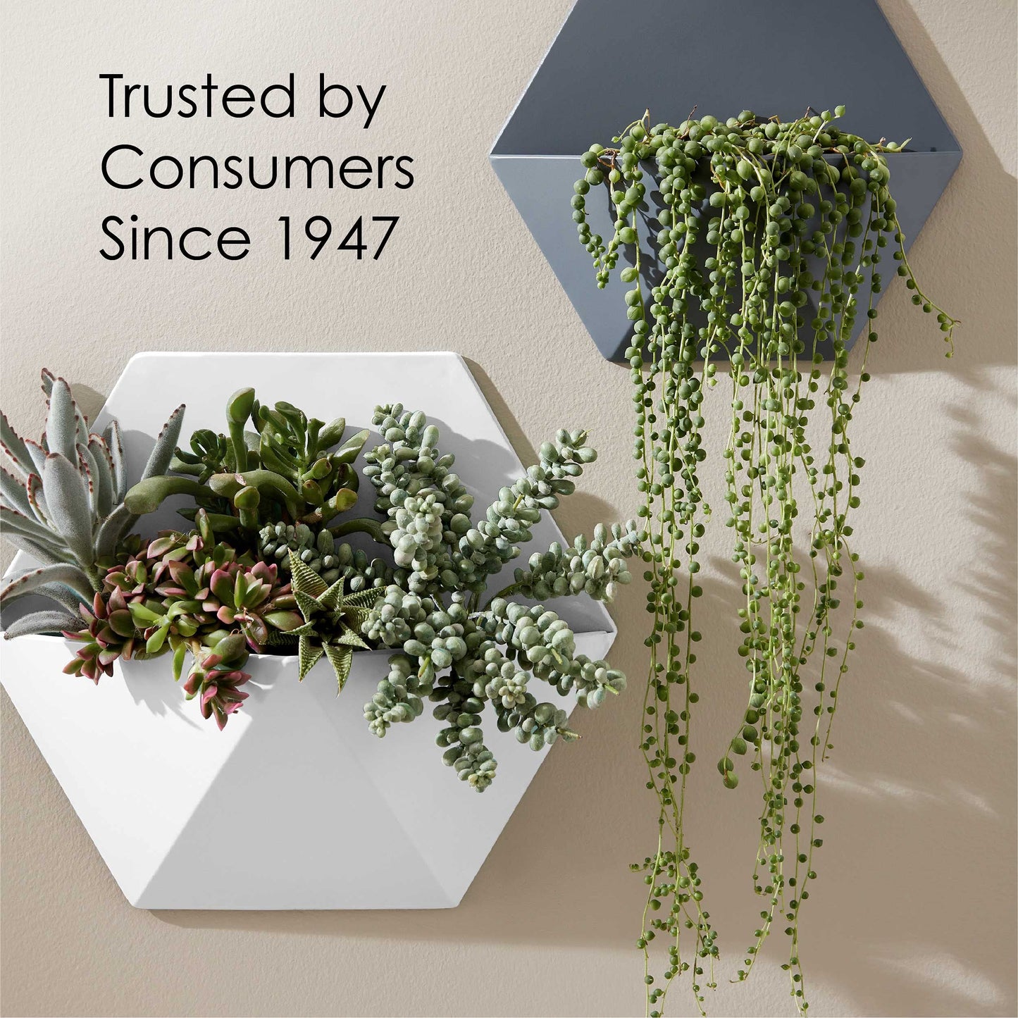 Krylon K05615007 COLORmaxx Acrylic Latex Brush On Paint for Indoor/Outdoor Use, ½ Pint, Satin White