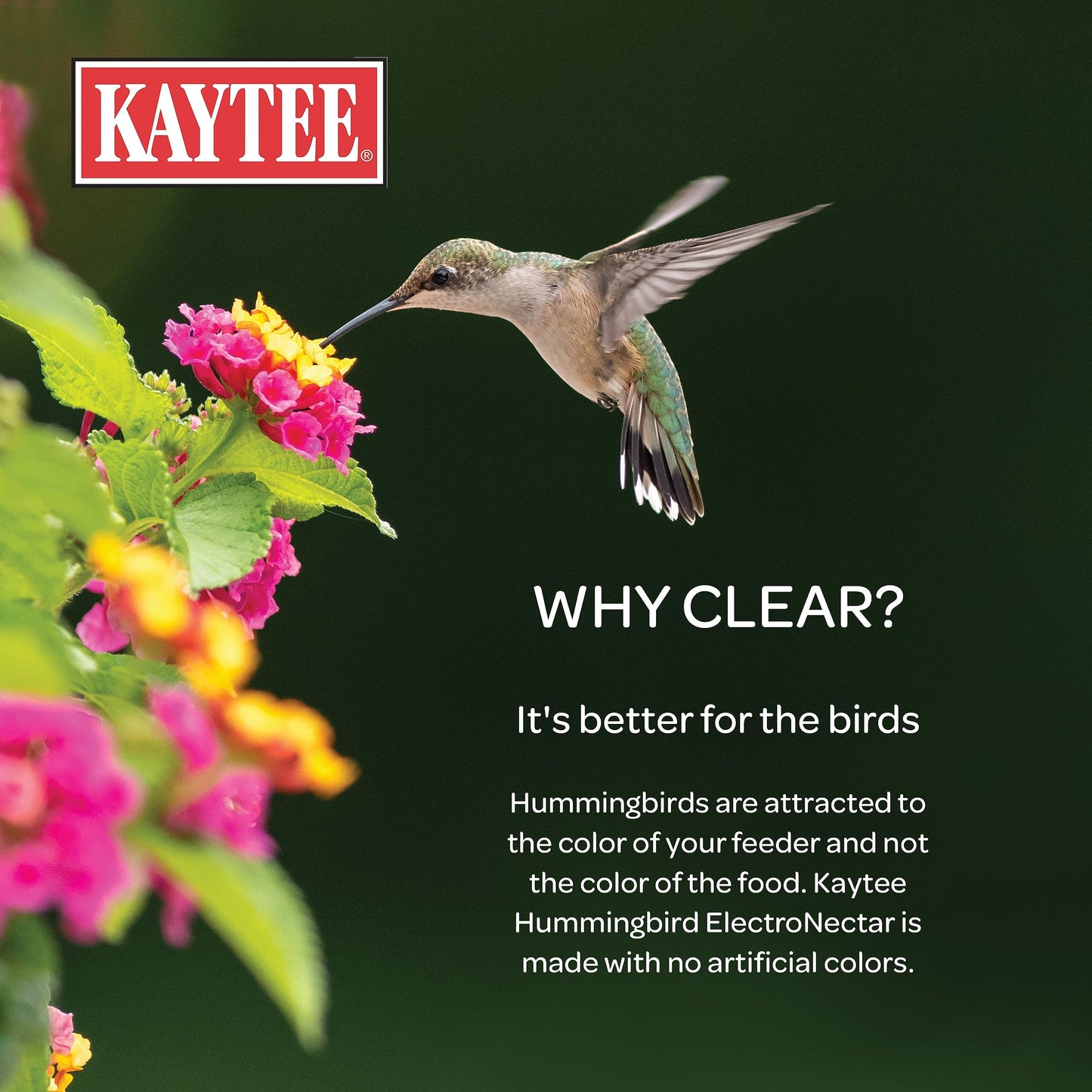 Kaytee Hummingbird ElectroNectar Wild Bird Food, Ready to Use, 64 Ounces