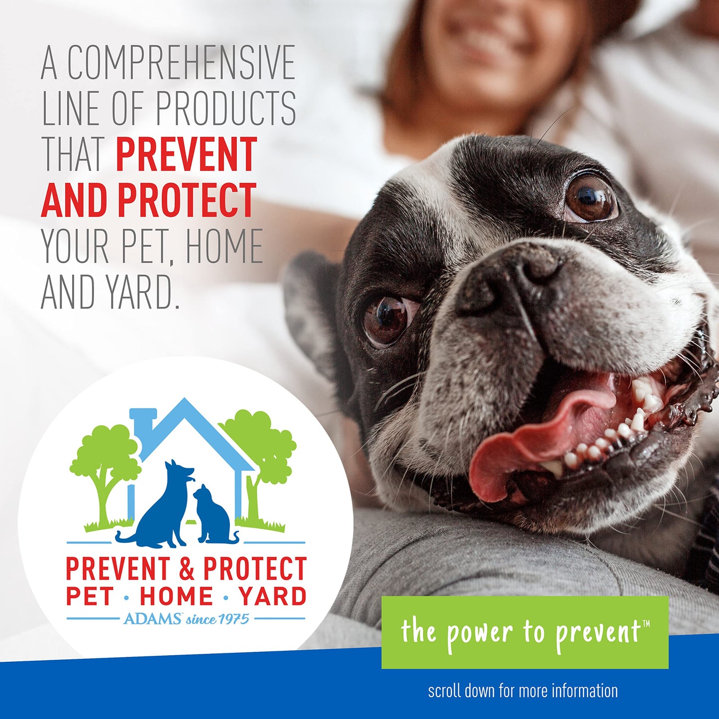 Adams Plus Flea & Tick Shampoo with Precor for Cats, Kittens, Dogs & Puppies Over 12 Weeks Of Age |Sensitive Skin Flea Treatment |Kills Adult Fleas, Flea Eggs, Ticks, and Lice |24 Oz, Pump Included