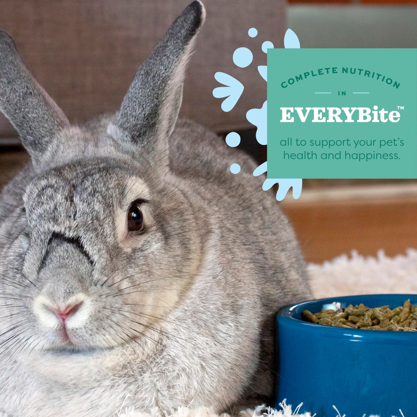 Oxbow Essentials Rabbit Food, Adult, Made with Oxbow Timothy Hay for Rabbit, Pet Pellets with Vitamins & Minerals, Small Animal Pet Products, Bunny Food, Made in USA, High Fiber, 10 lb. bag