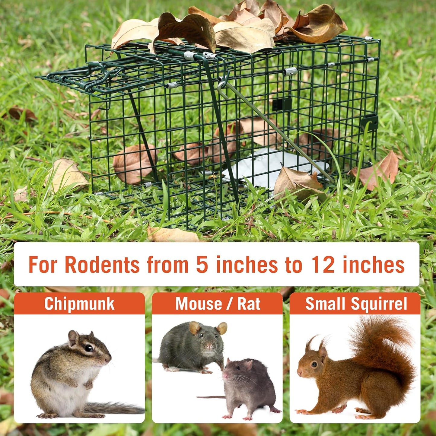 HOMESTEAD Collapsible Live Animal Trap 14.5” x 7.5” x 8.5” - Foldable Metal Trap for Small Rat, Chipmunk and Small Squirrel