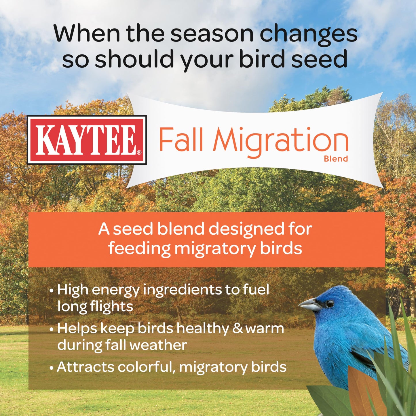 Kaytee Wild Bird Food, Summer Nesting Seed Blend, 8 lb