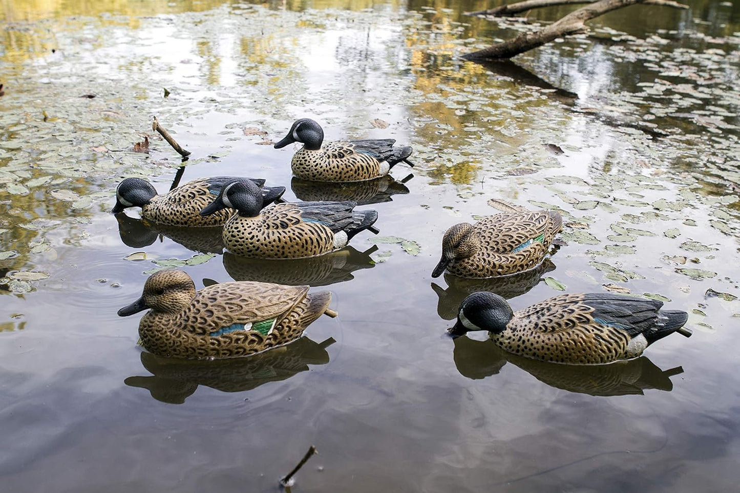 Flambeau Outdoors 8016SUV Storm Front 2 Blue-Winged Teal Decoys, Classic Floaters- 6-Pack
